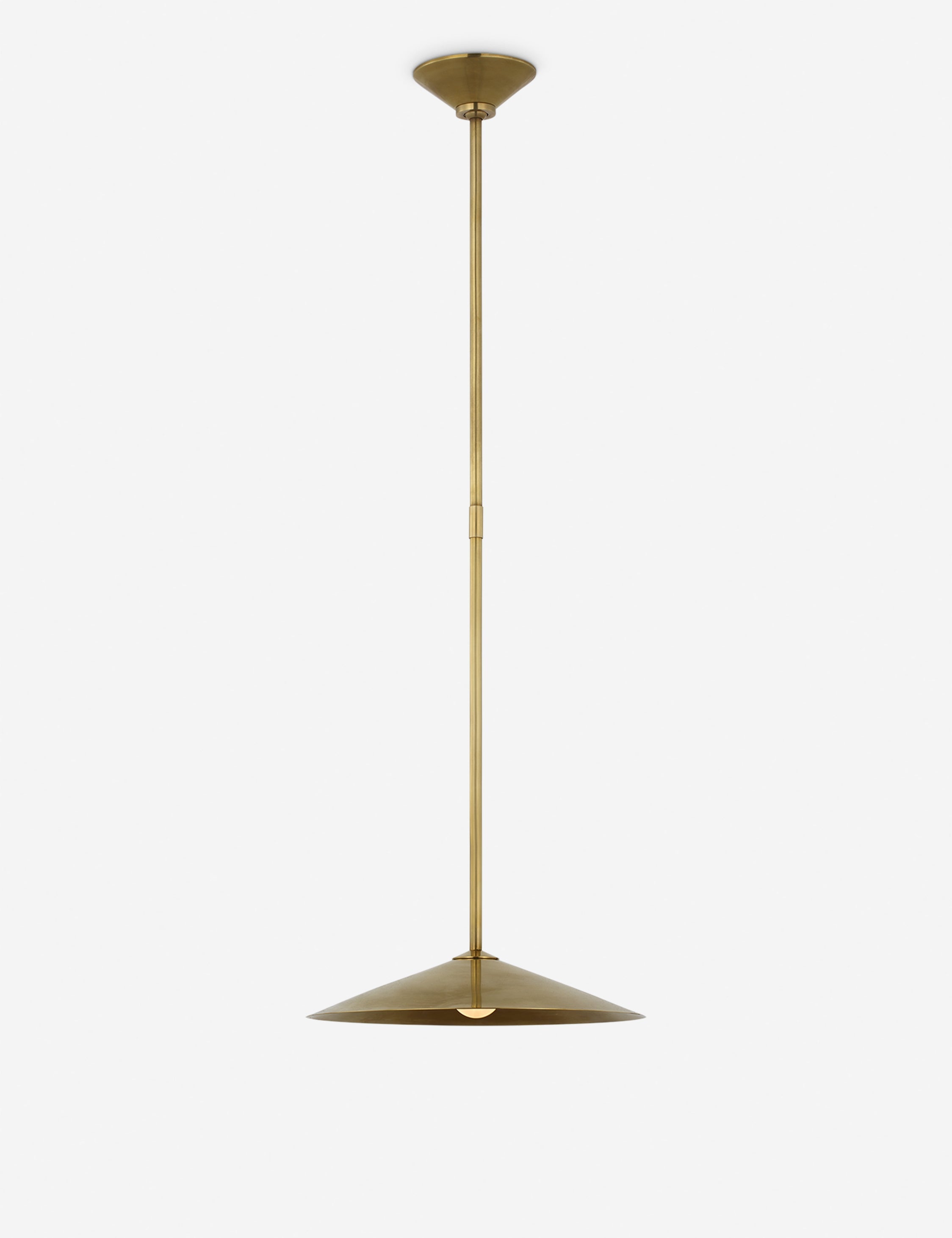 Lulu and Georgia Ponce Pendant Light by Amber Lewis