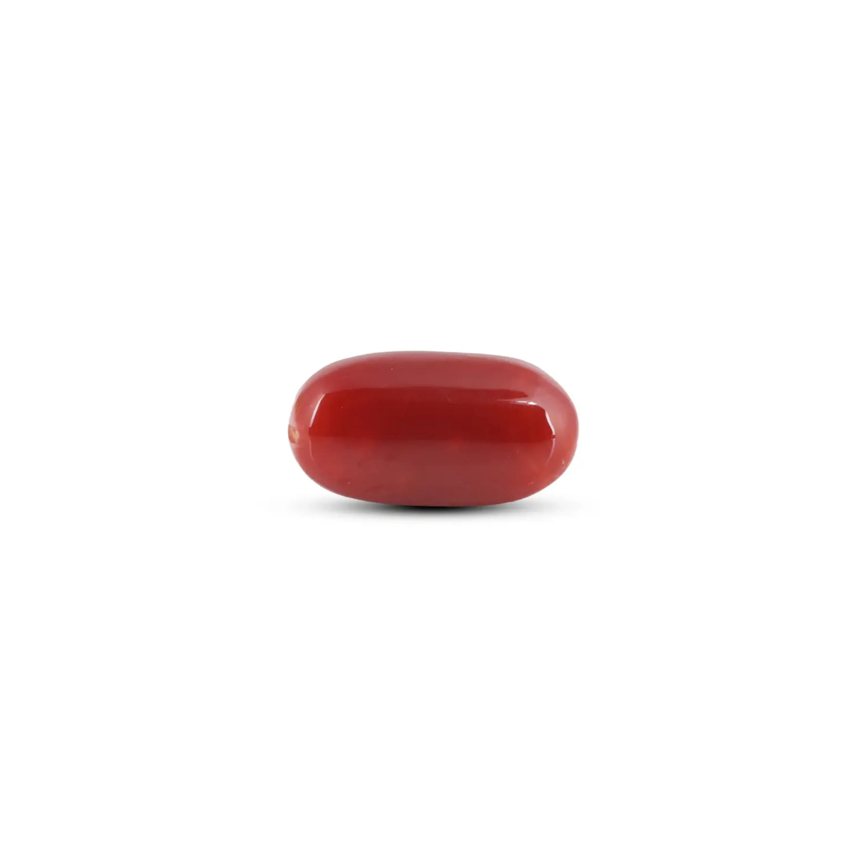 Pramogh Japanese Red Coral - 5.75 Carat