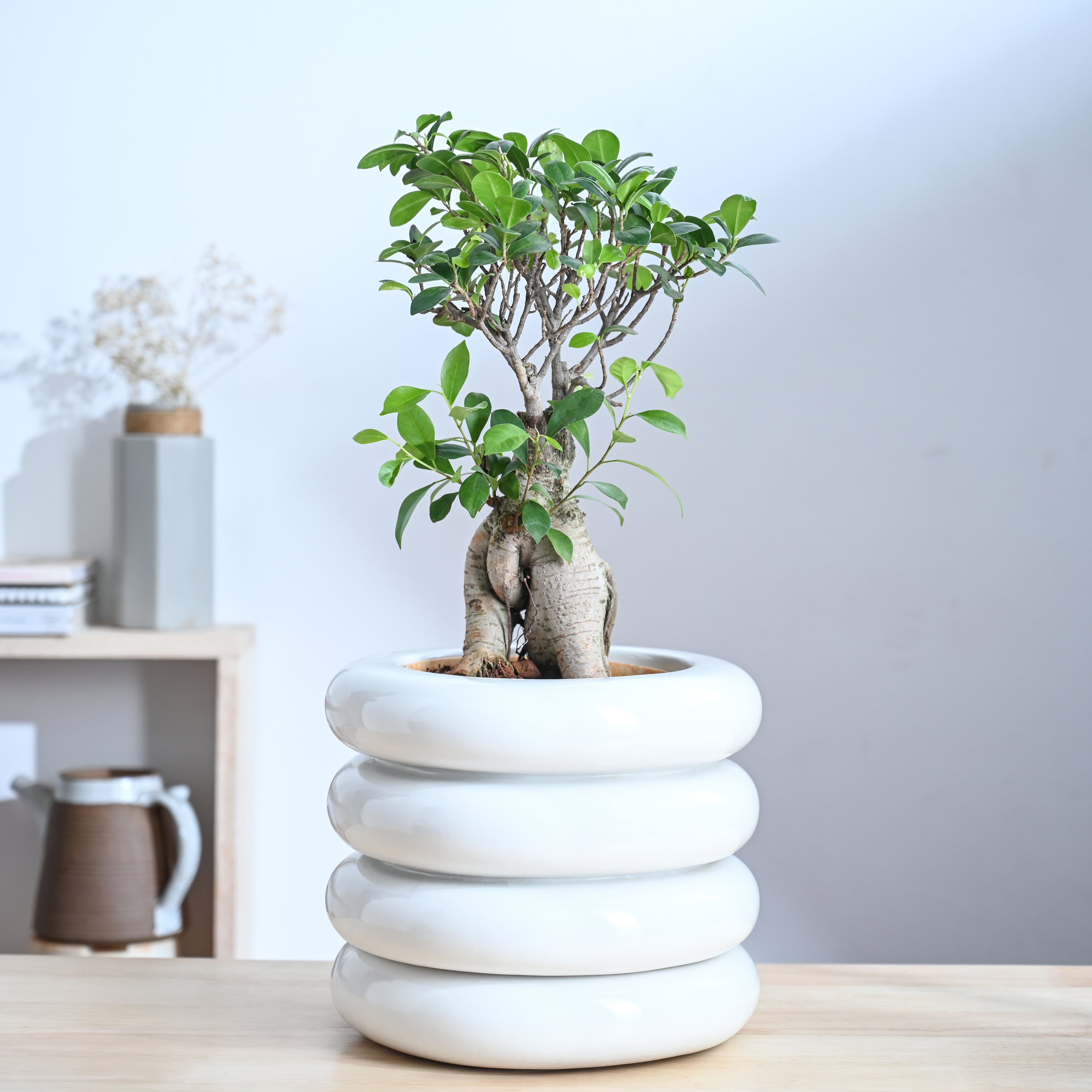 Ugaoo Tiny Kisses Ceramic Planter - view 41