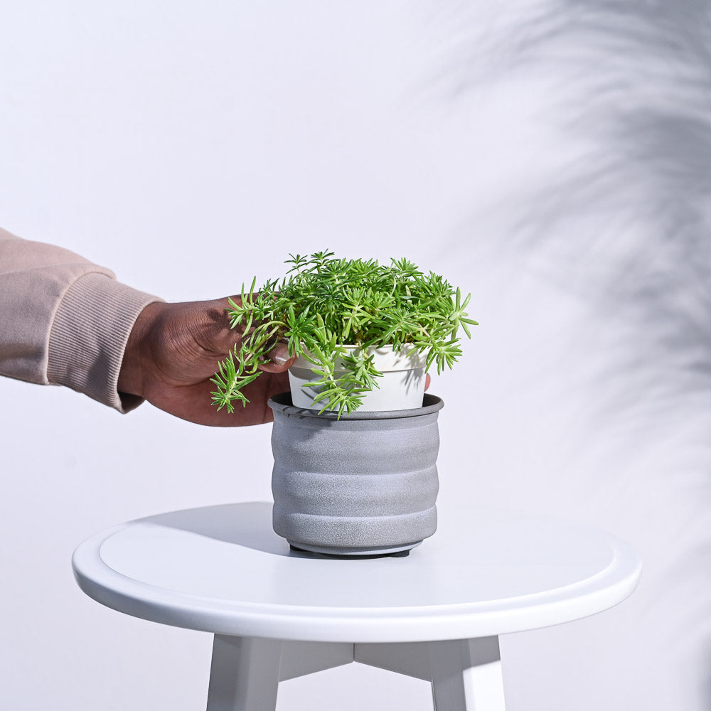 Ugaoo RidgeCraft Cylindrical Planter - view 7