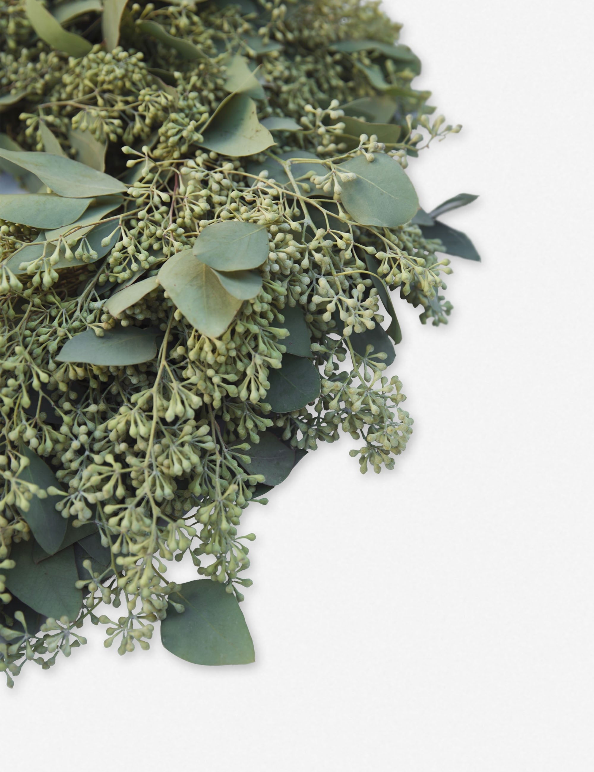 Lulu and Georgia Fresh Handmade Seeded Eucalyptus Wreath - view 7