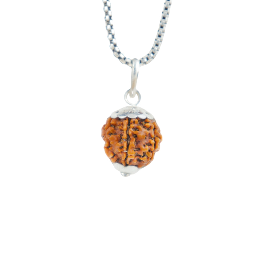 Prinjal Jewellers Silver Capping 7 Mukhi Rudraksha Pendant With Chain ( Nepali )
