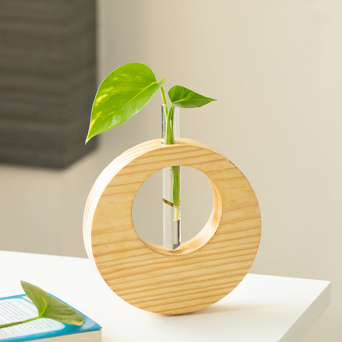 EXCLUSIVELANE 'Pine Ring Glass Garden' Test Tube Table Planter/Vase (9 Inch, Light Brown)