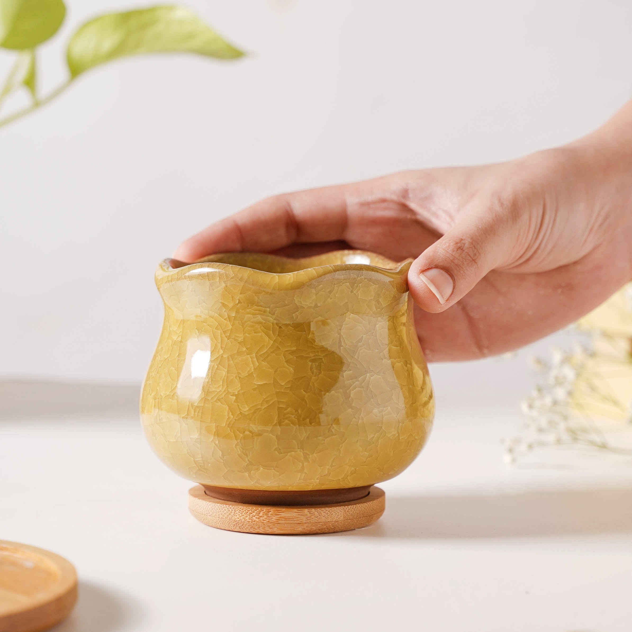 Nestasia Botanica Ochre Ceramic Planter With Coaster - view 2