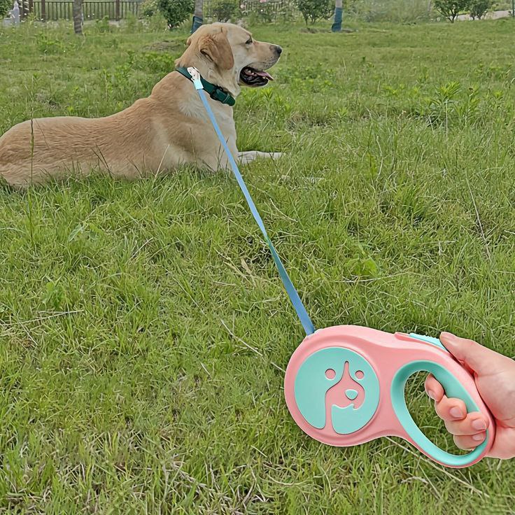 Catterton Big Adjustable Dog Leash