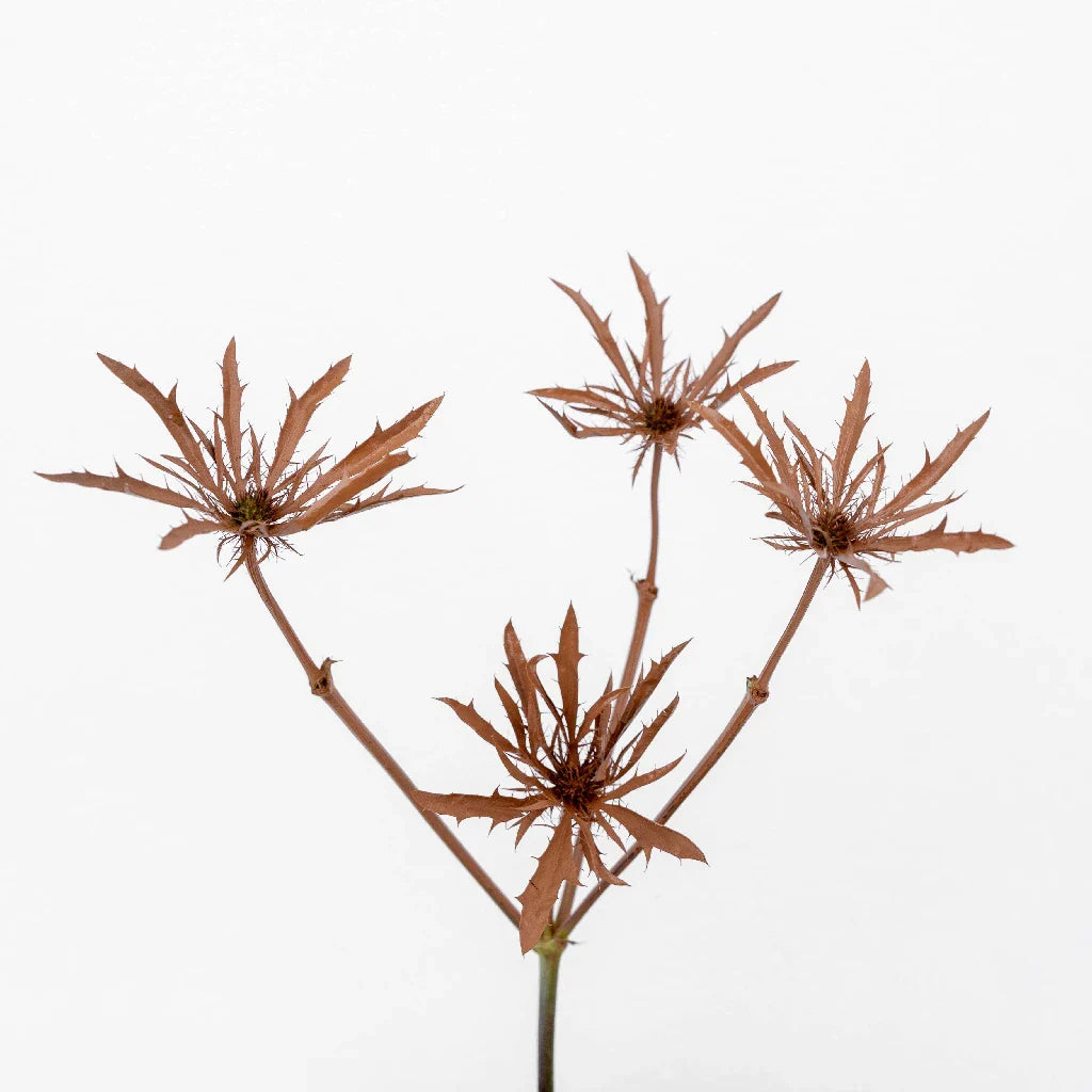 FiftyFlowers Mocha Mousse Thistle Flowers - view 2