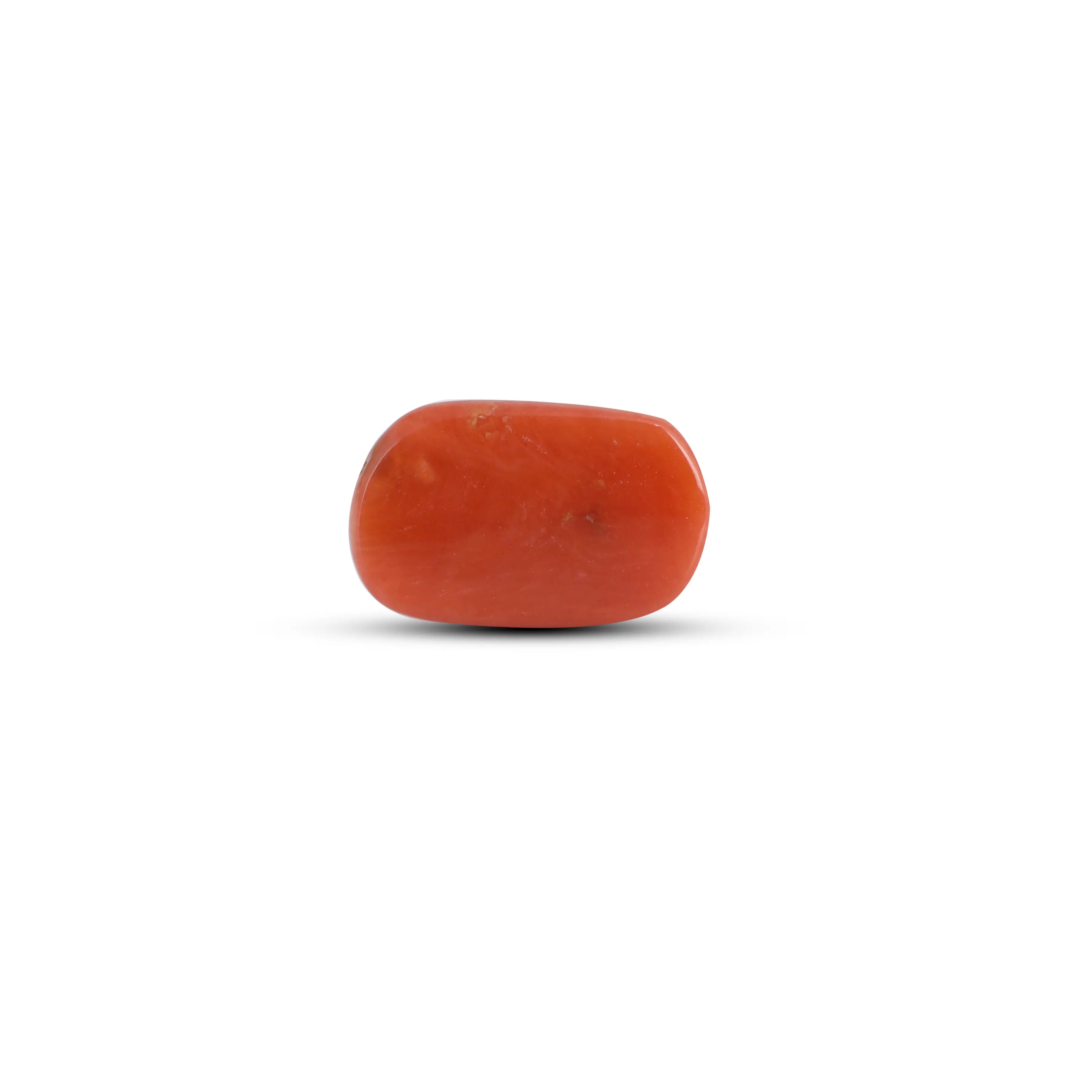 Pramogh Red Coral - 2.83 Carat - view 2