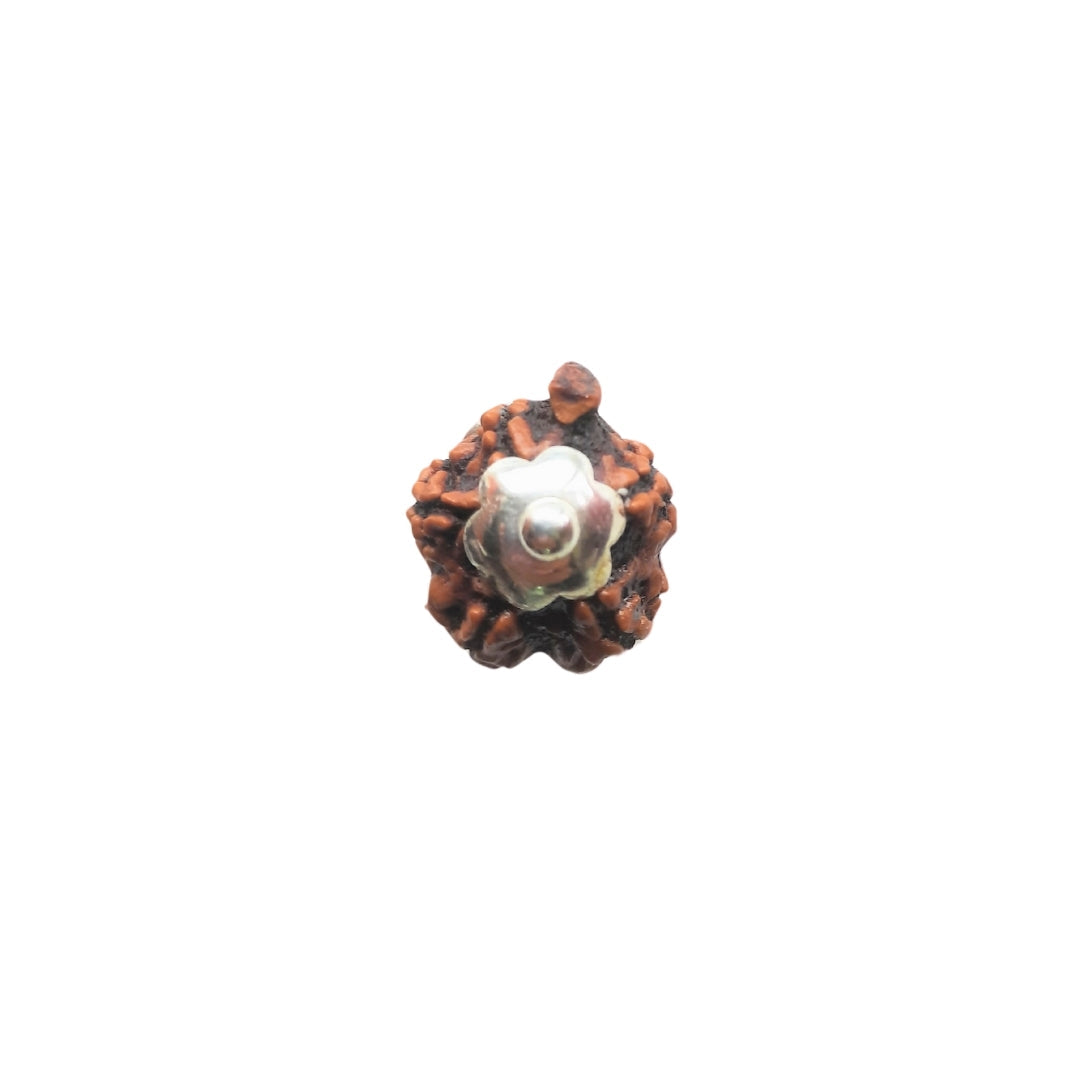 Prinjal Jewellers Silver Capping Ganesh Mukhi Rudraksha Pendant With Chain ( Nepali ) - view 4