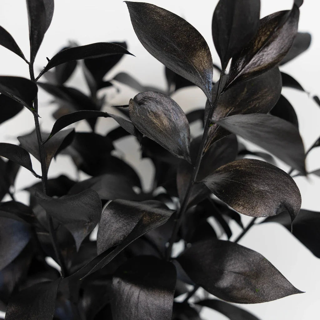 FiftyFlowers Black Tinted Ruscus Greenery - view 3