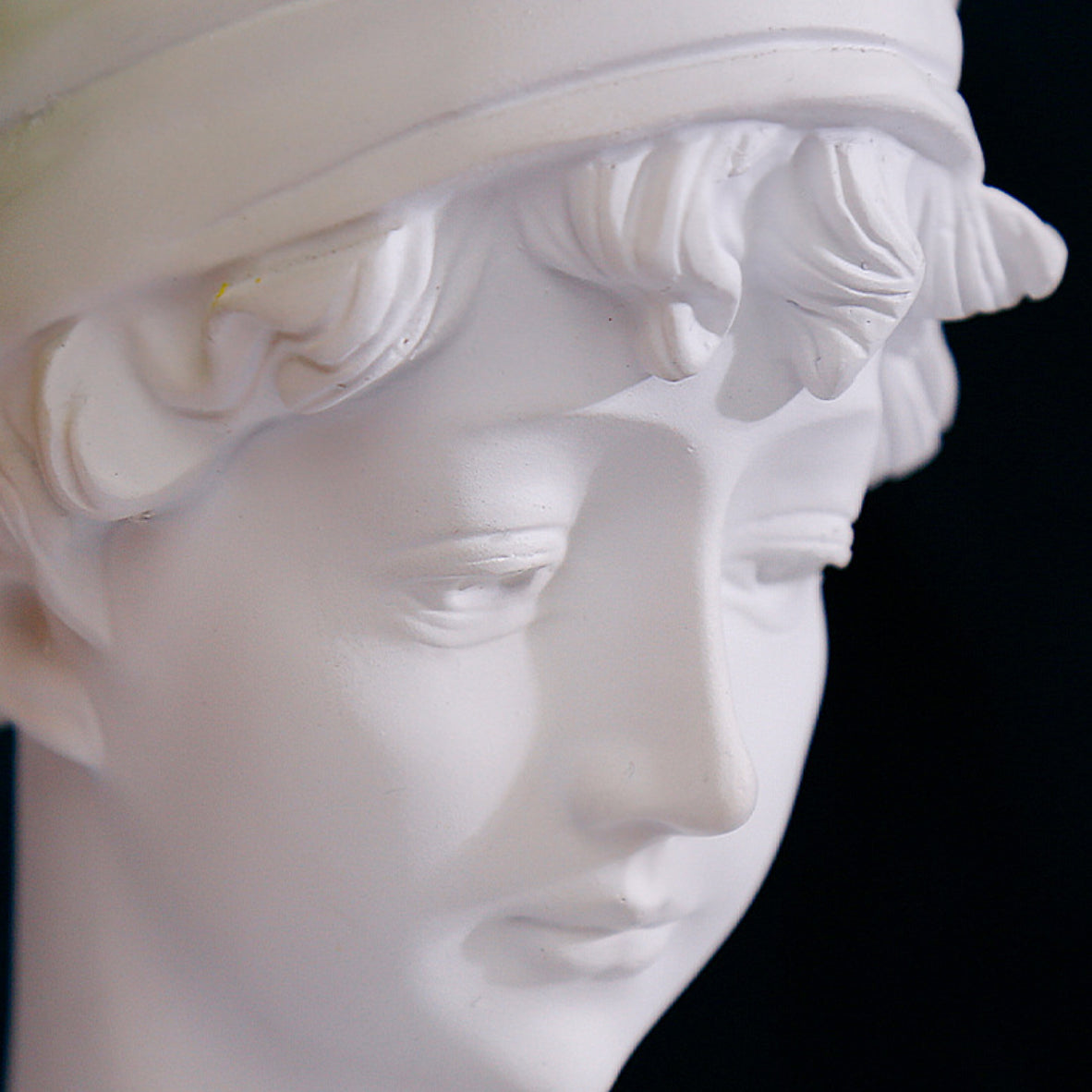 Nestasia Head Planter - view 9