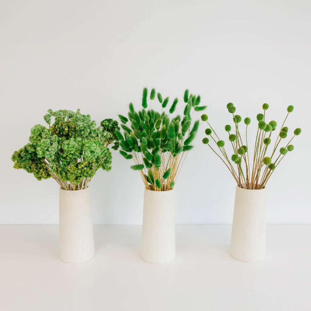 FiftyFlowers Moss Green Dried Flower Pack - view 2