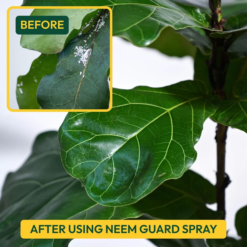 Ugaoo Neem Guard Ready to Use Neem Oil Spray - 500 ml - view 6