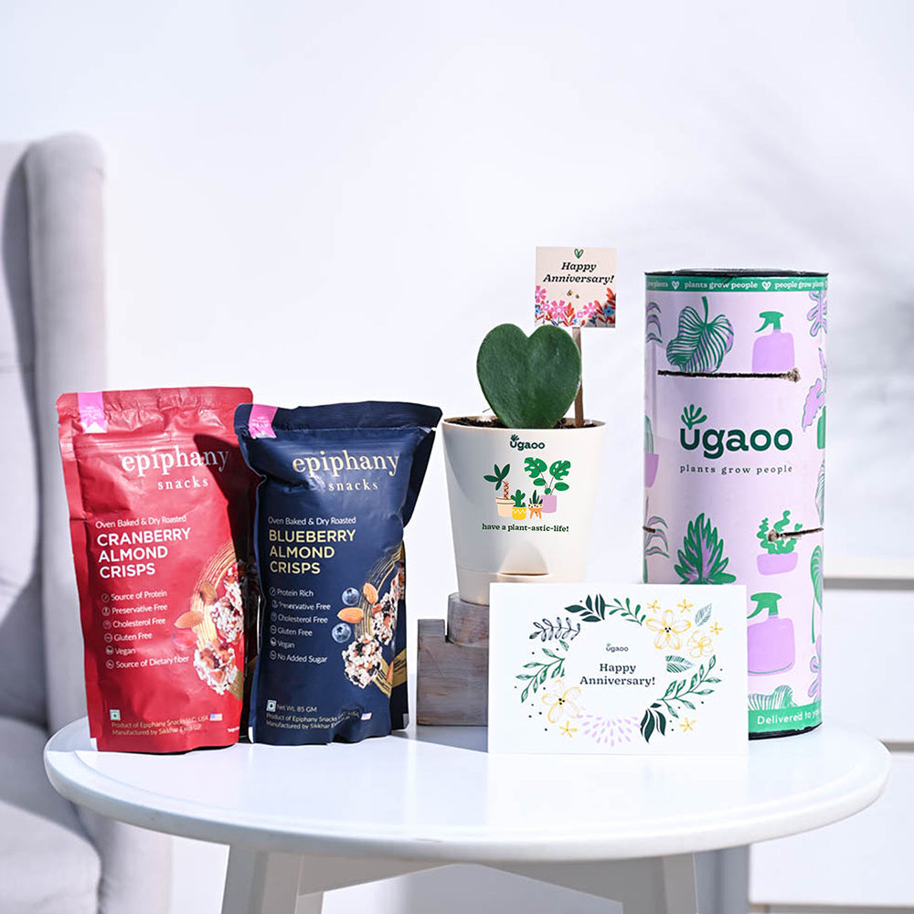 Ugaoo Heart Hoya Anniversary Gift Hamper