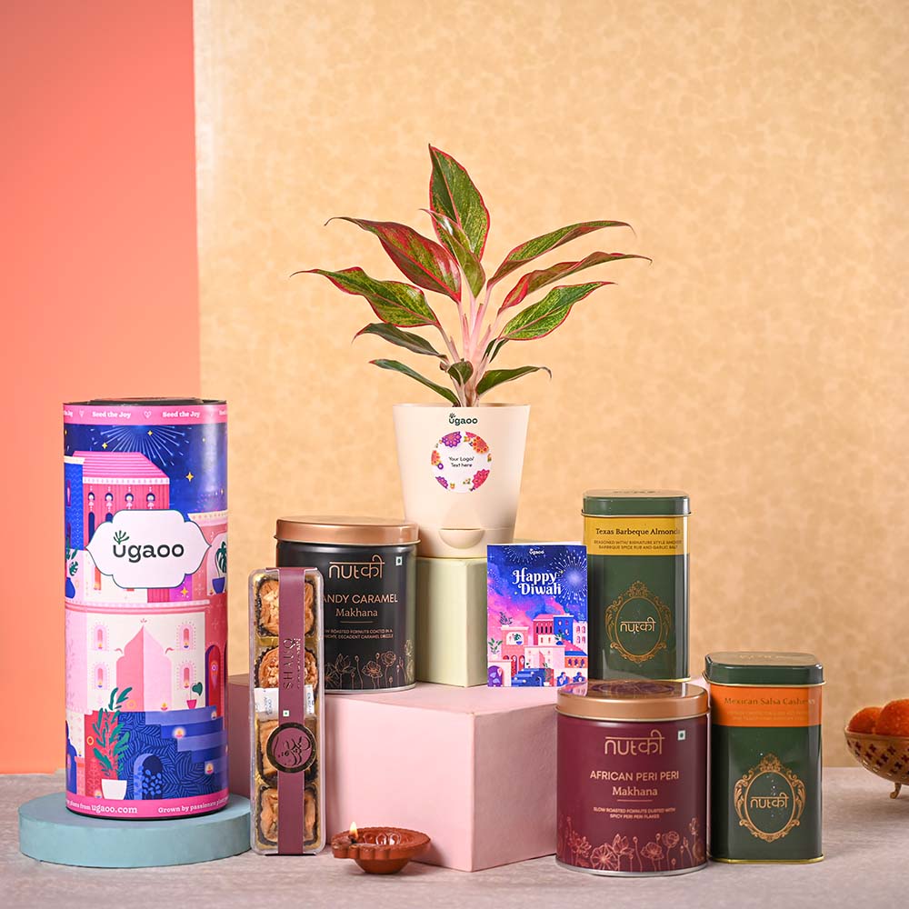 Plant nutki gift – Ugaoo Aglaonema Red Plant & Nutki Gift Hamper