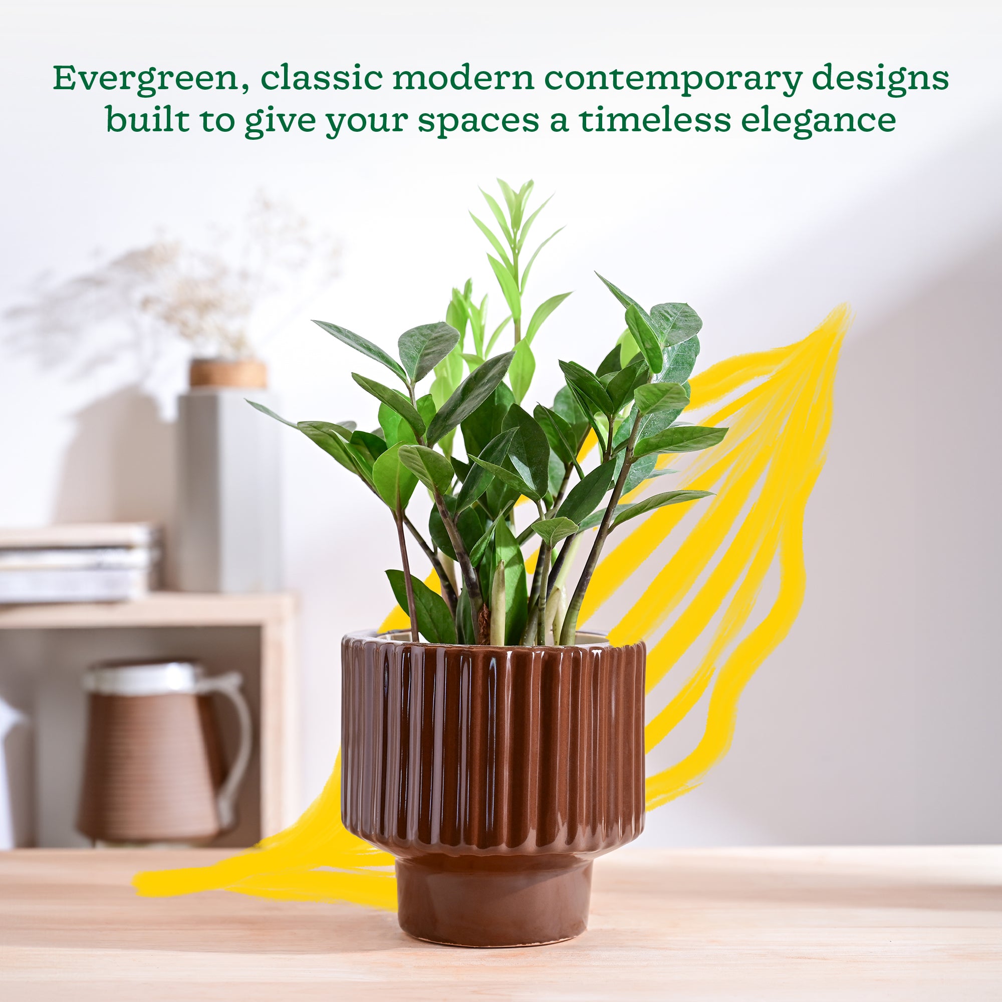 Ugaoo Forms of Love Ceramic Planter - view 34