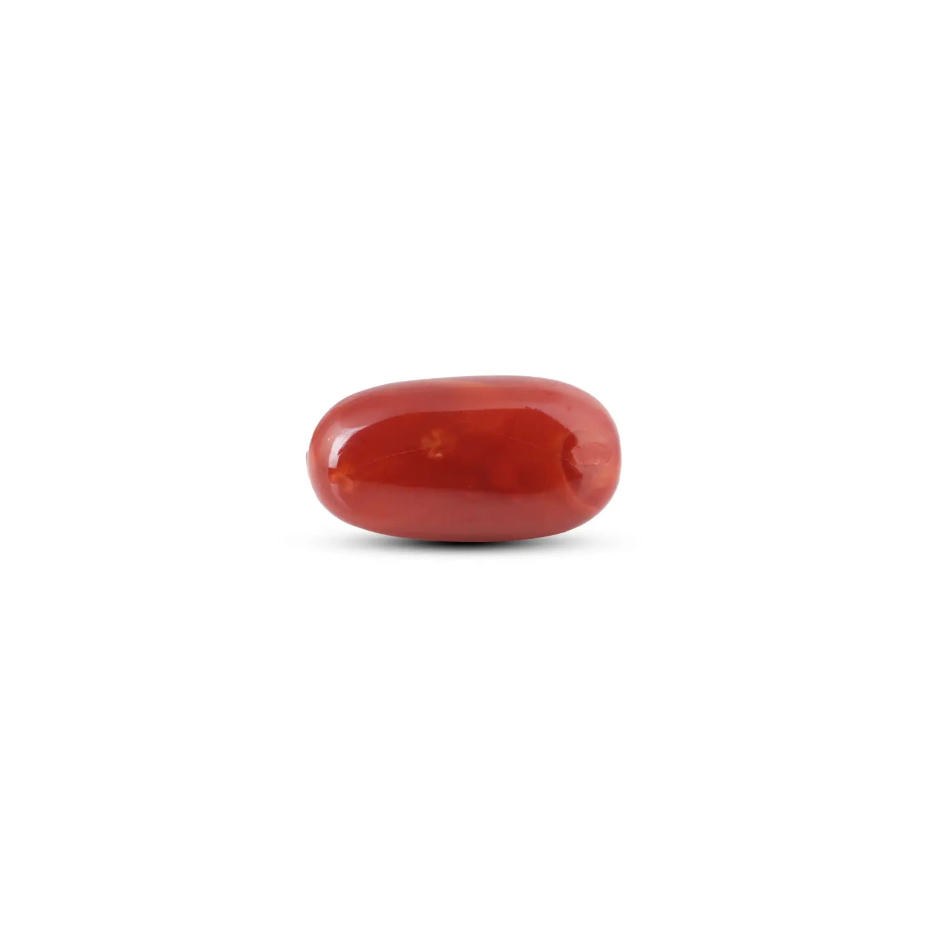 Pramogh Japanese Red Coral - 11.55 Carat