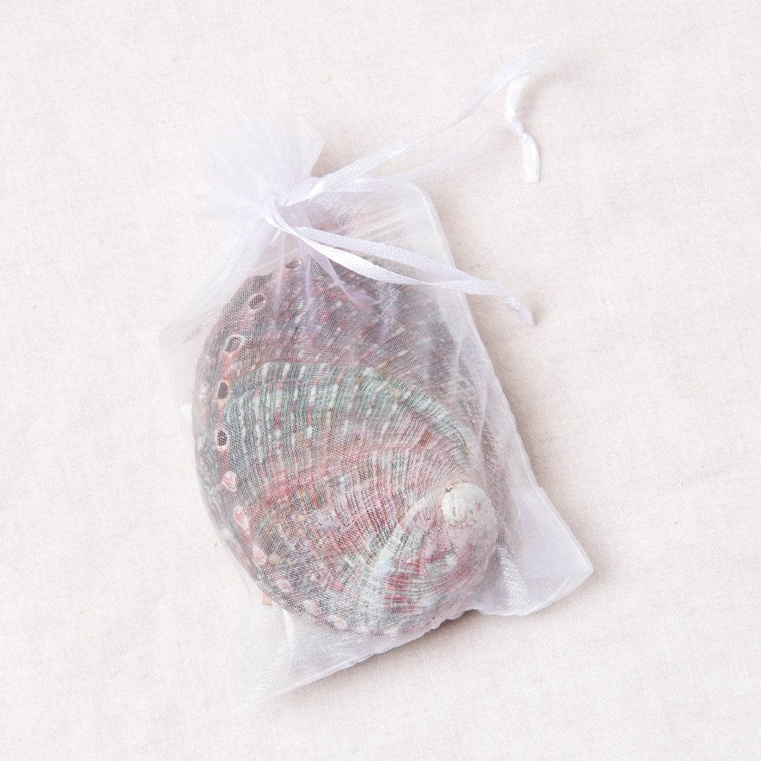 Tiny Rituals Small Abalone Shell Kit - view 4