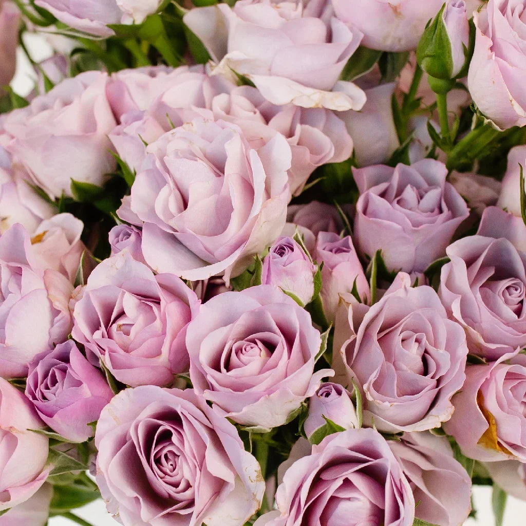 FiftyFlowers Delicate Lavender Spray Garden Rose