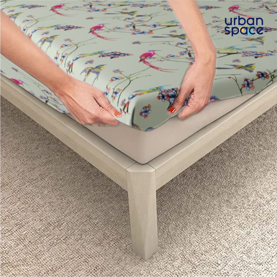 Urban Space -Home Furnishing Store Fitted King Size Cotton Bedsheet - Sparrow Mint Green - view 8