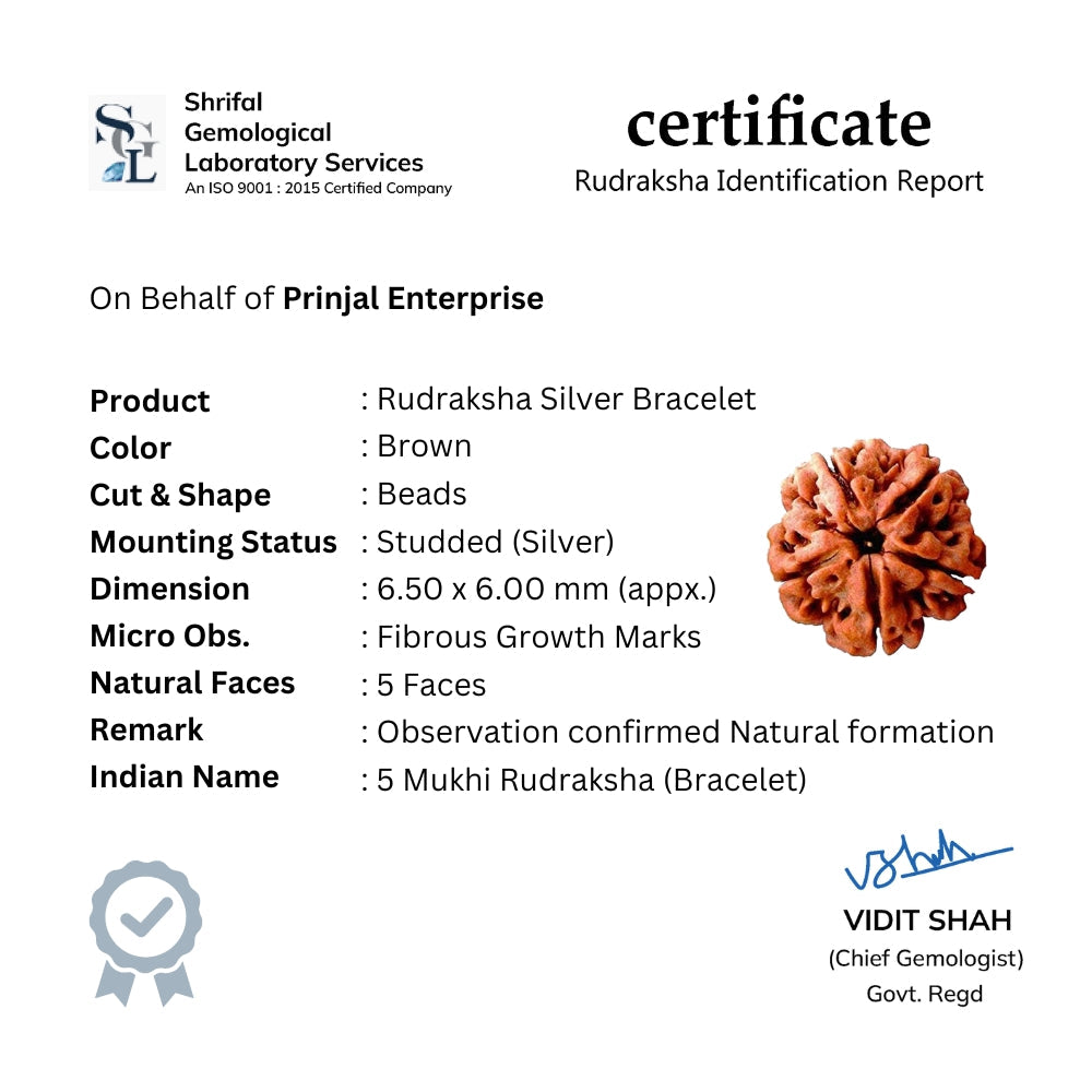 Prinjal Jewellers Rudraksha Silver Jaguar Symbol Double Line Bracelet - view 4
