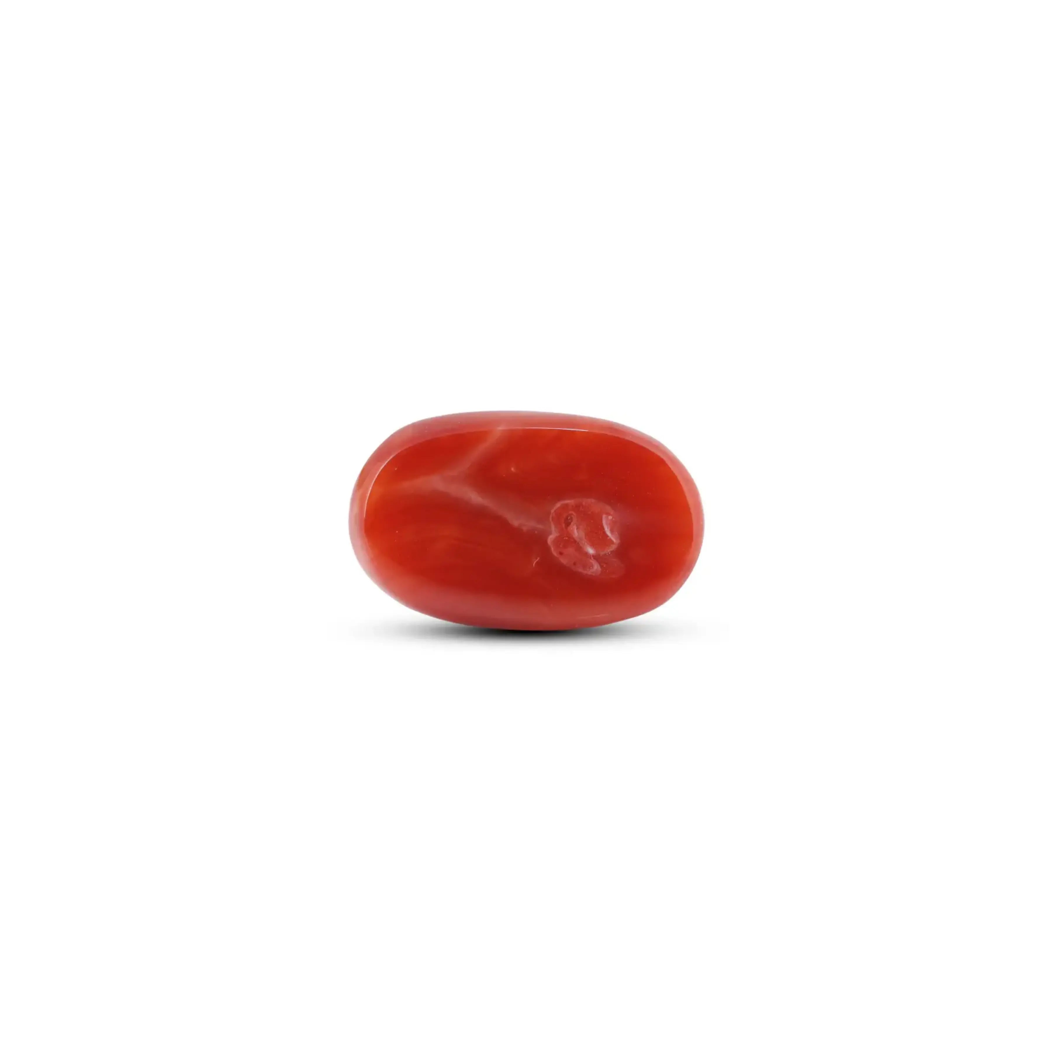 Pramogh Japanese Red Coral - 7.05 Carat - view 2