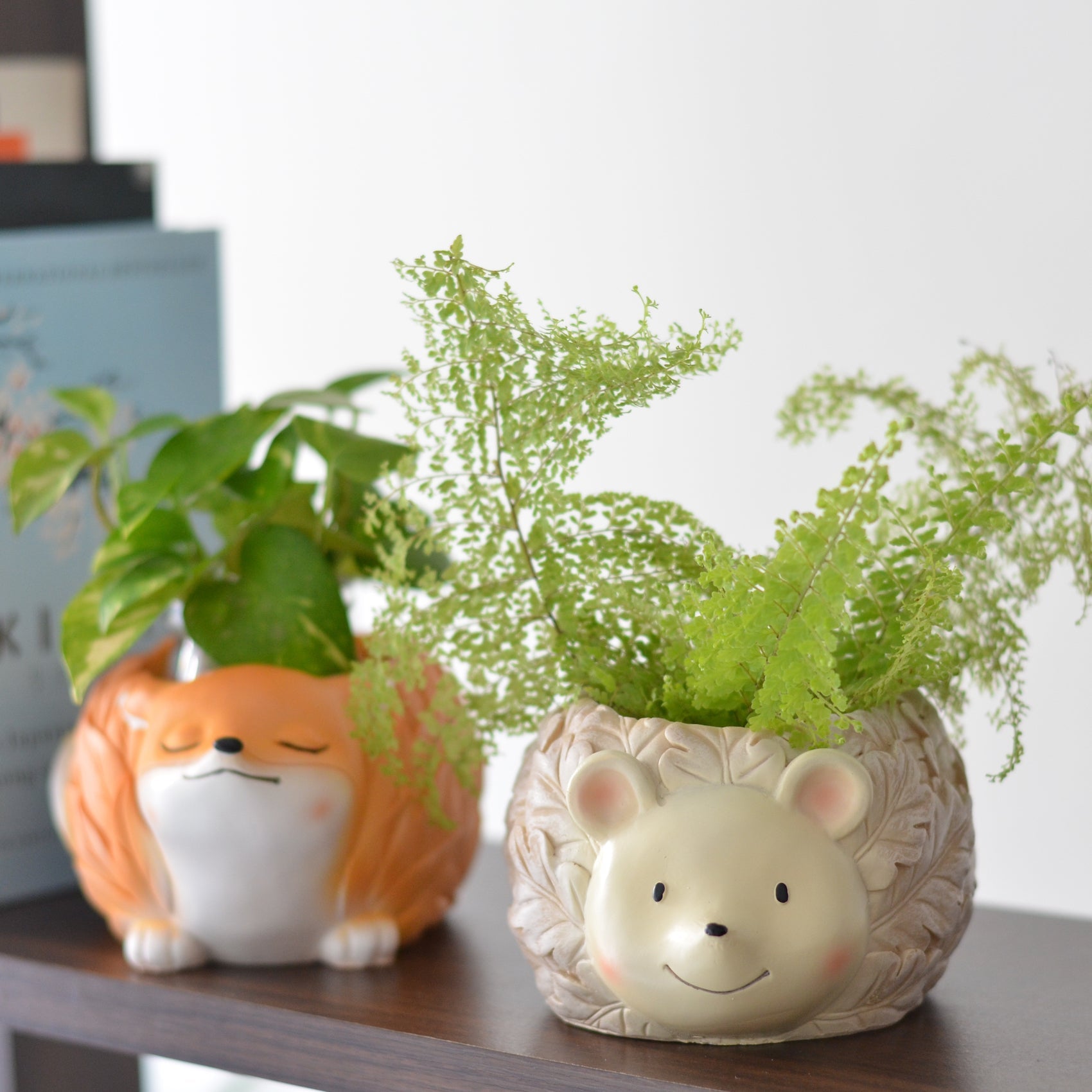 Nestasia Hedgehog Planter - view 2