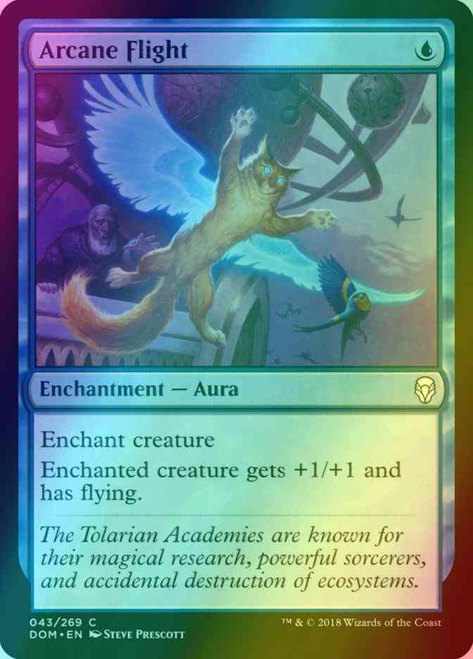 Arcane flight 43 – Magic Arcane Flight [43] [Dominaria] [Foil]