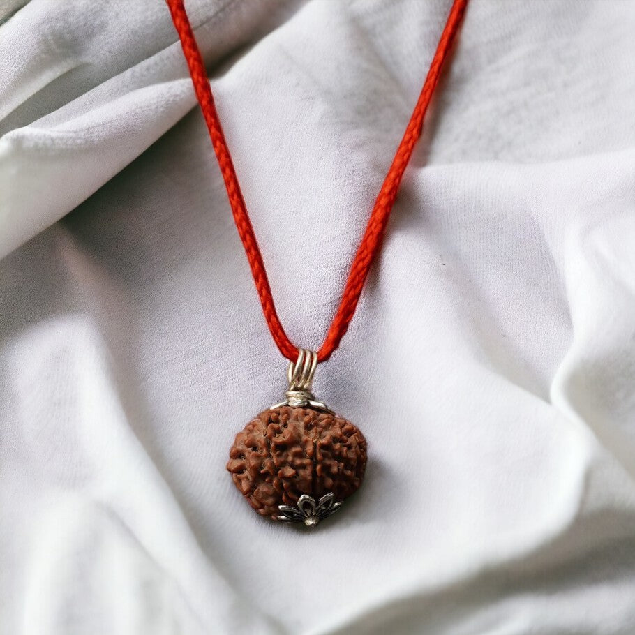Soultheory Natural 10 Mukhi Nepali Rudraksha - Das Mukhi