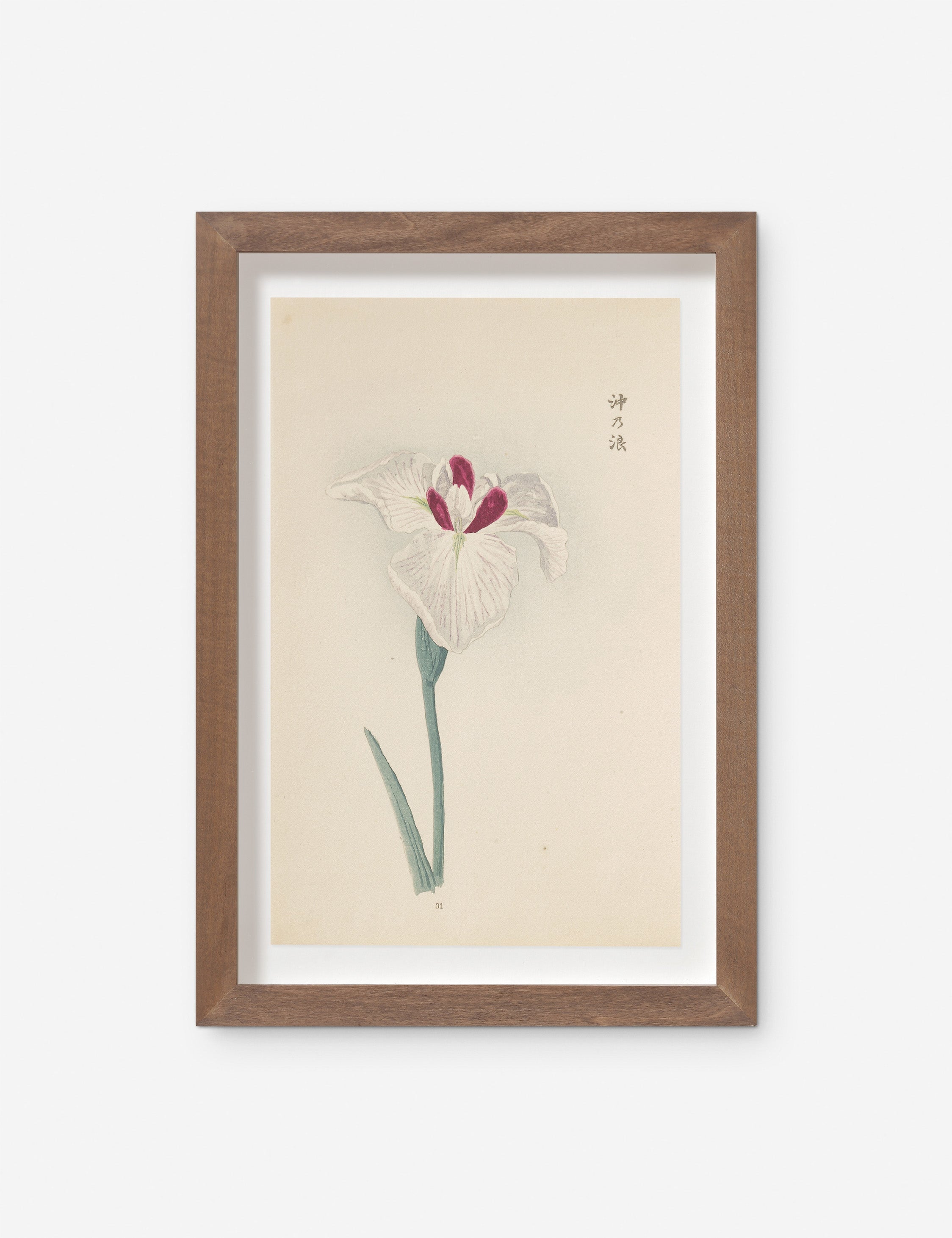 Lulu and Georgia Vintage Japanese Iris No. 31 Wall Art by Miyoshi Manabu