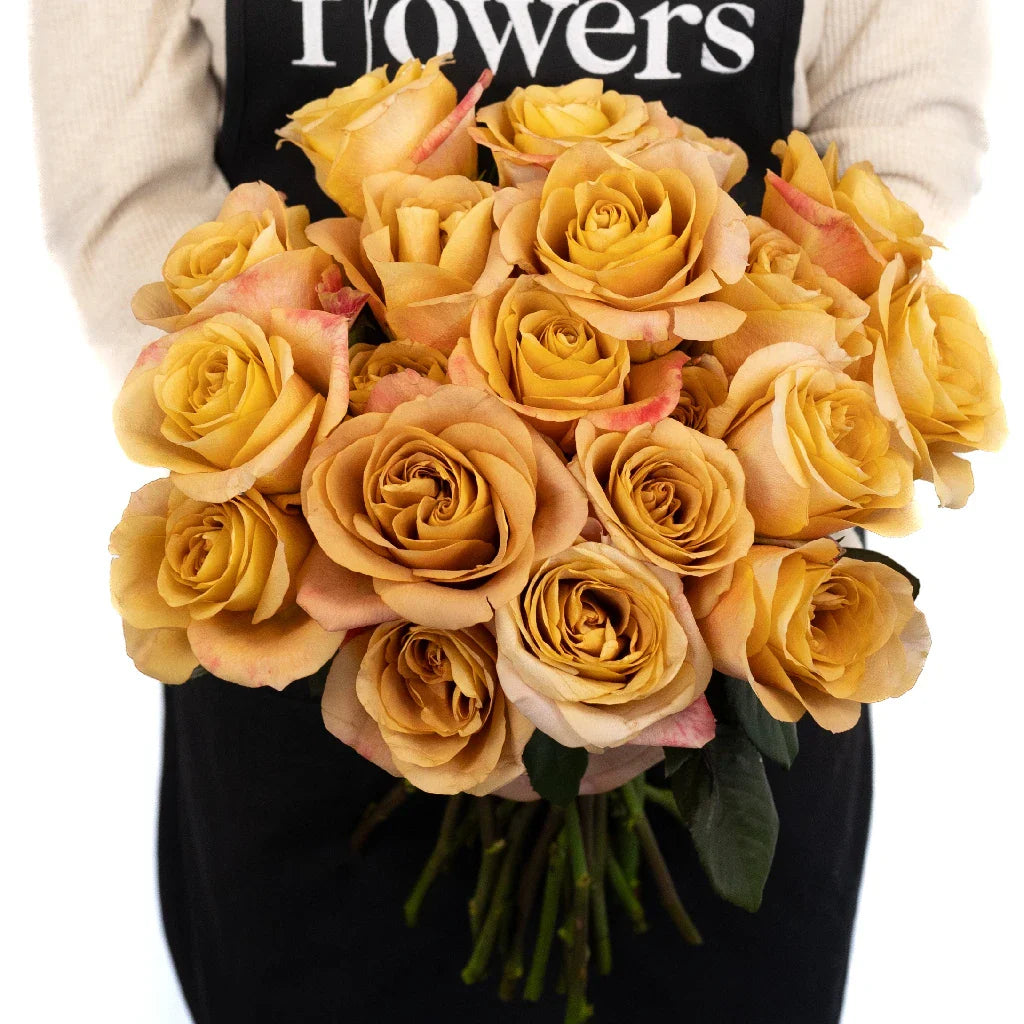 FiftyFlowers Ginger Snap Garden Rose - view 4