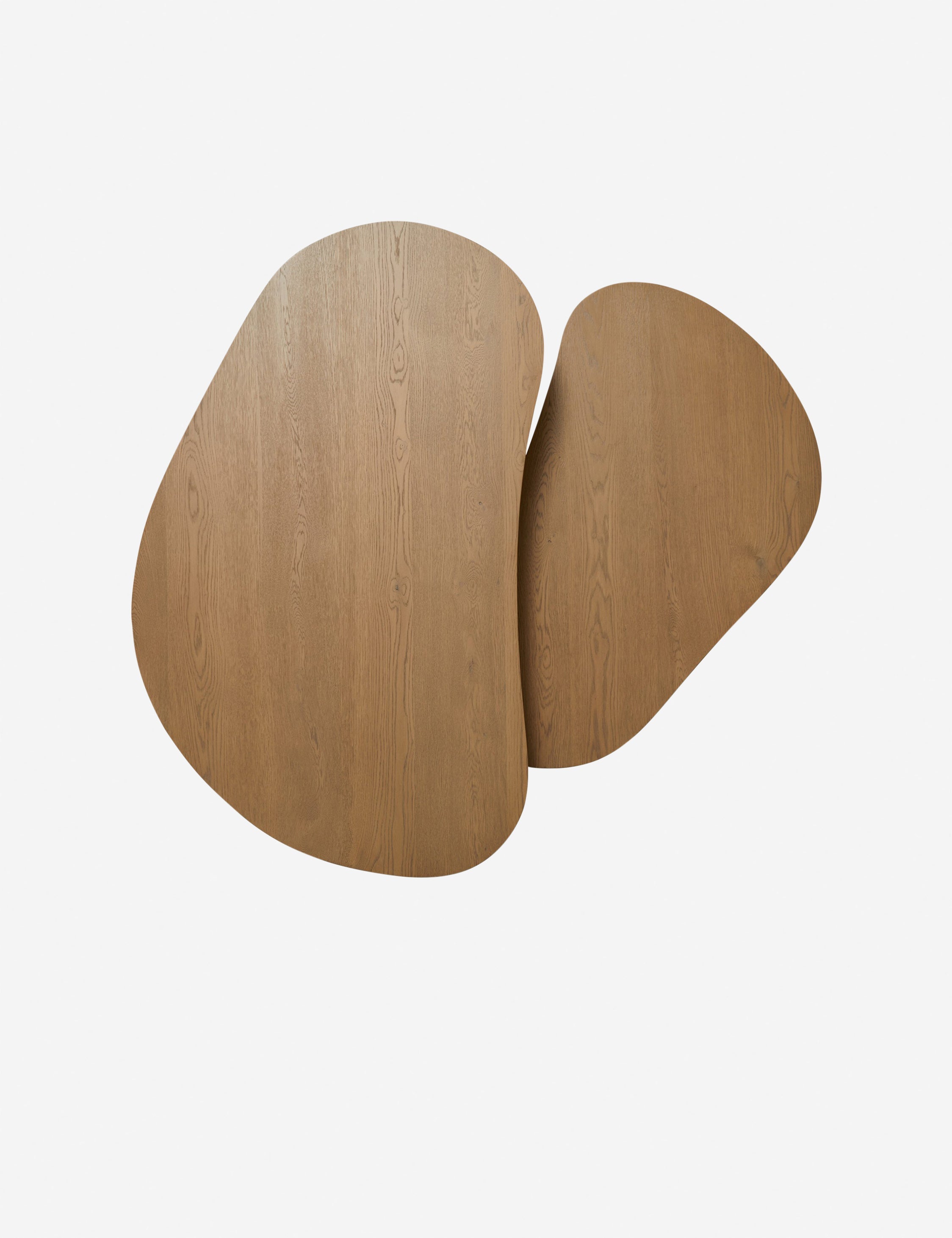 Lulu and Georgia Heiko Nesting Coffee Table (Set of 2) - view 5