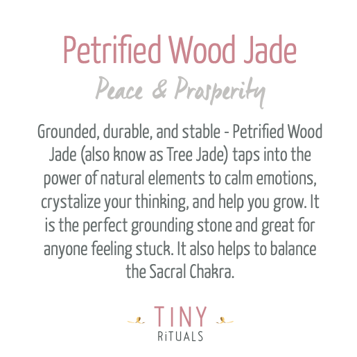 Tiny Rituals Petrified Wood Jade Energy Bracelet - view 3