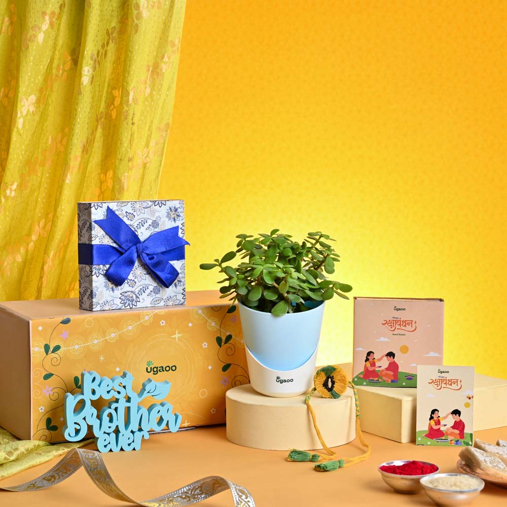 Ugaoo Rakhi Gift for Brother - Jade Mini with Best Brother Momento and Chocolate Box