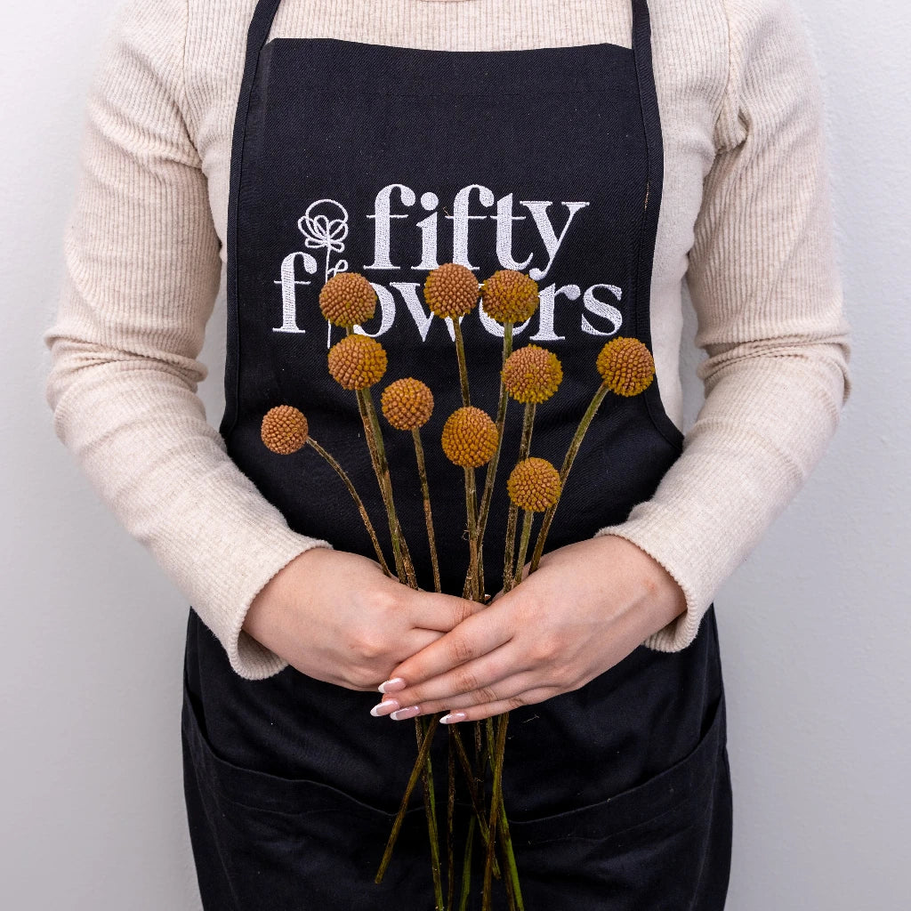 FiftyFlowers Mocha Mousse Craspedia Billy Balls