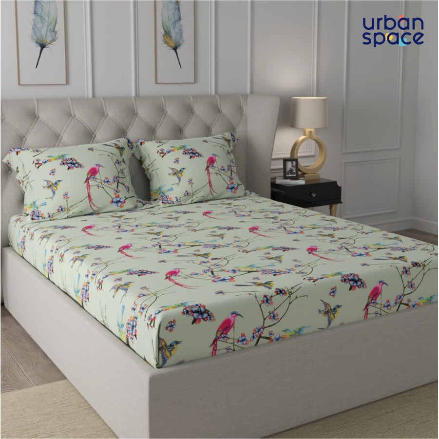 Urban Space -Home Furnishing Store Fitted King Size Cotton Bedsheet - Sparrow Mint Green - view 3