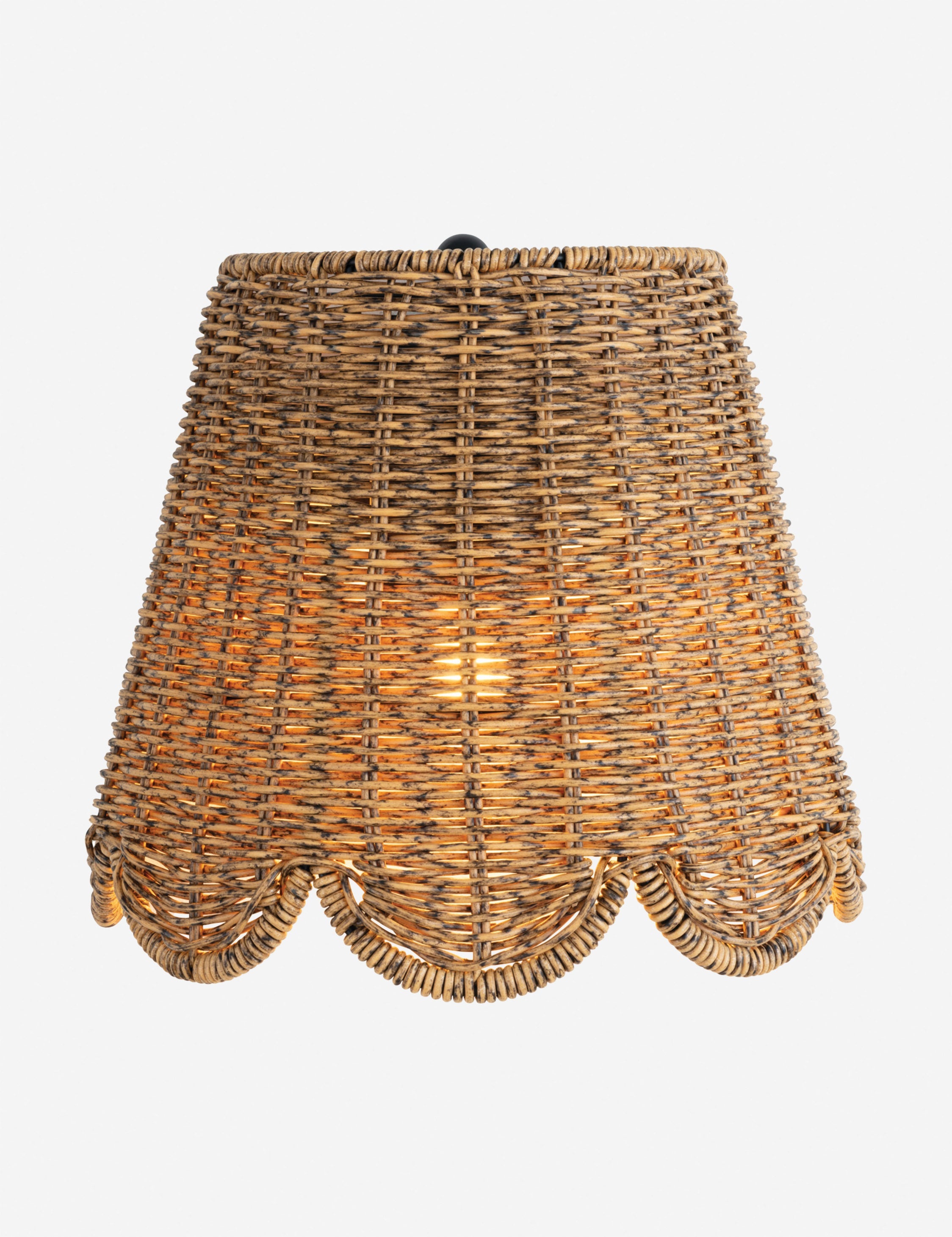 Lulu and Georgia Summer Outdoor Sconce by Regina Andrew