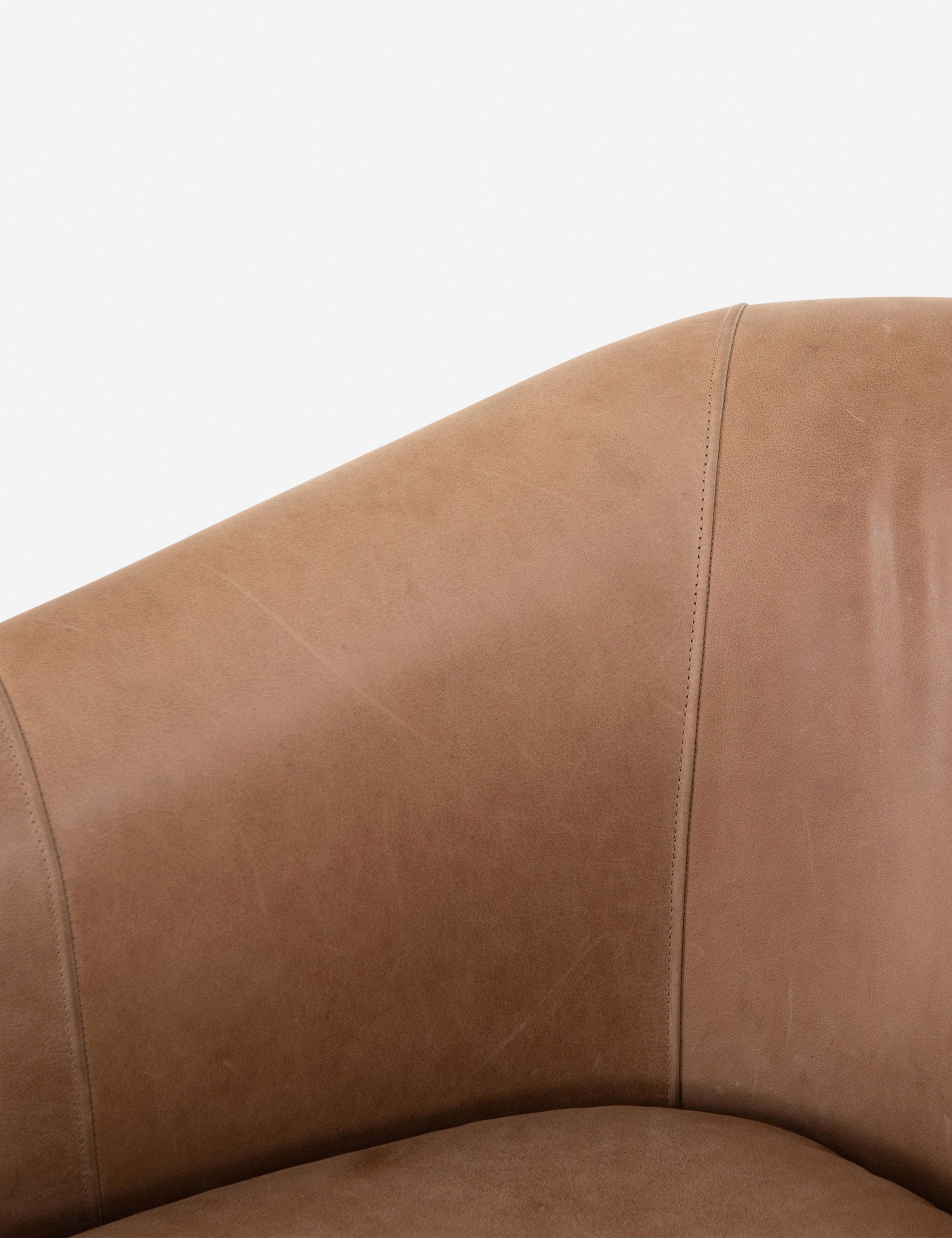 Lulu and Georgia Gianni Leather Accent Chair - view 10