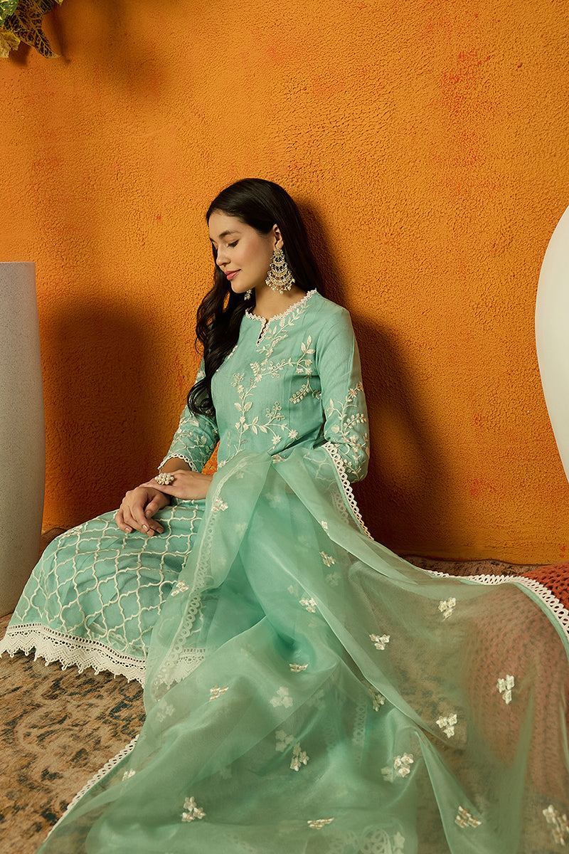 Ahika Sea Green Organza Solid Embroidered A-Line Dhoti Style Suit Set PKSKD2438 - view 4