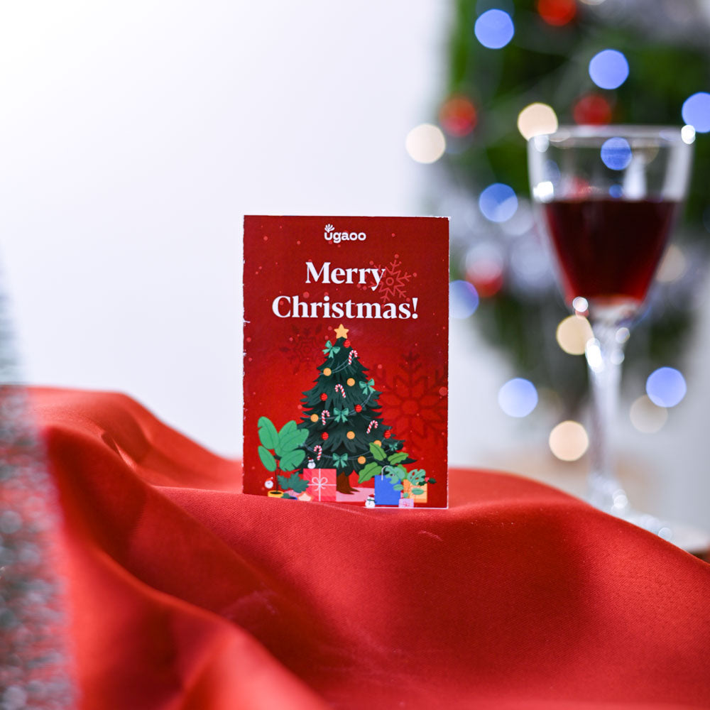 Ugaoo Thuja Plant Christmas Gift Hamper - view 3