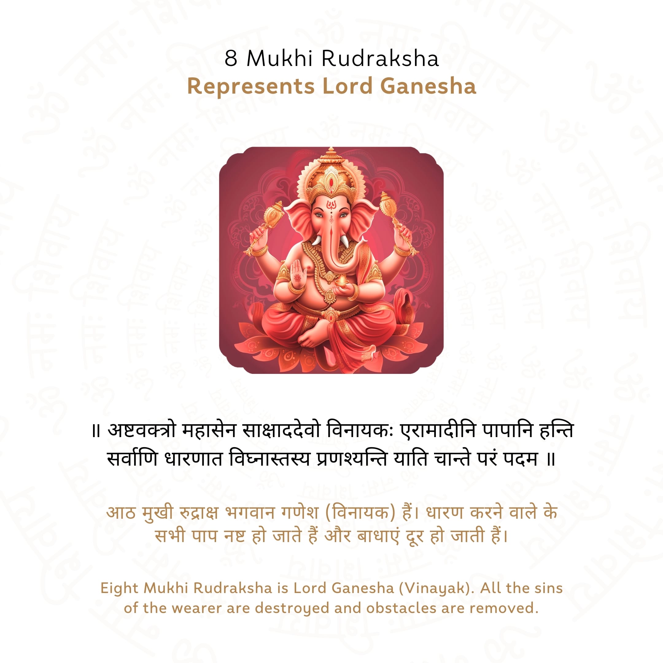 Prinjal Jewellers 8 Mukhi Rudraksha ( Nepali ) - view 4
