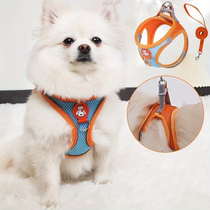 Catterton Safe & Comfortable Cat Harness + Leash - view 2