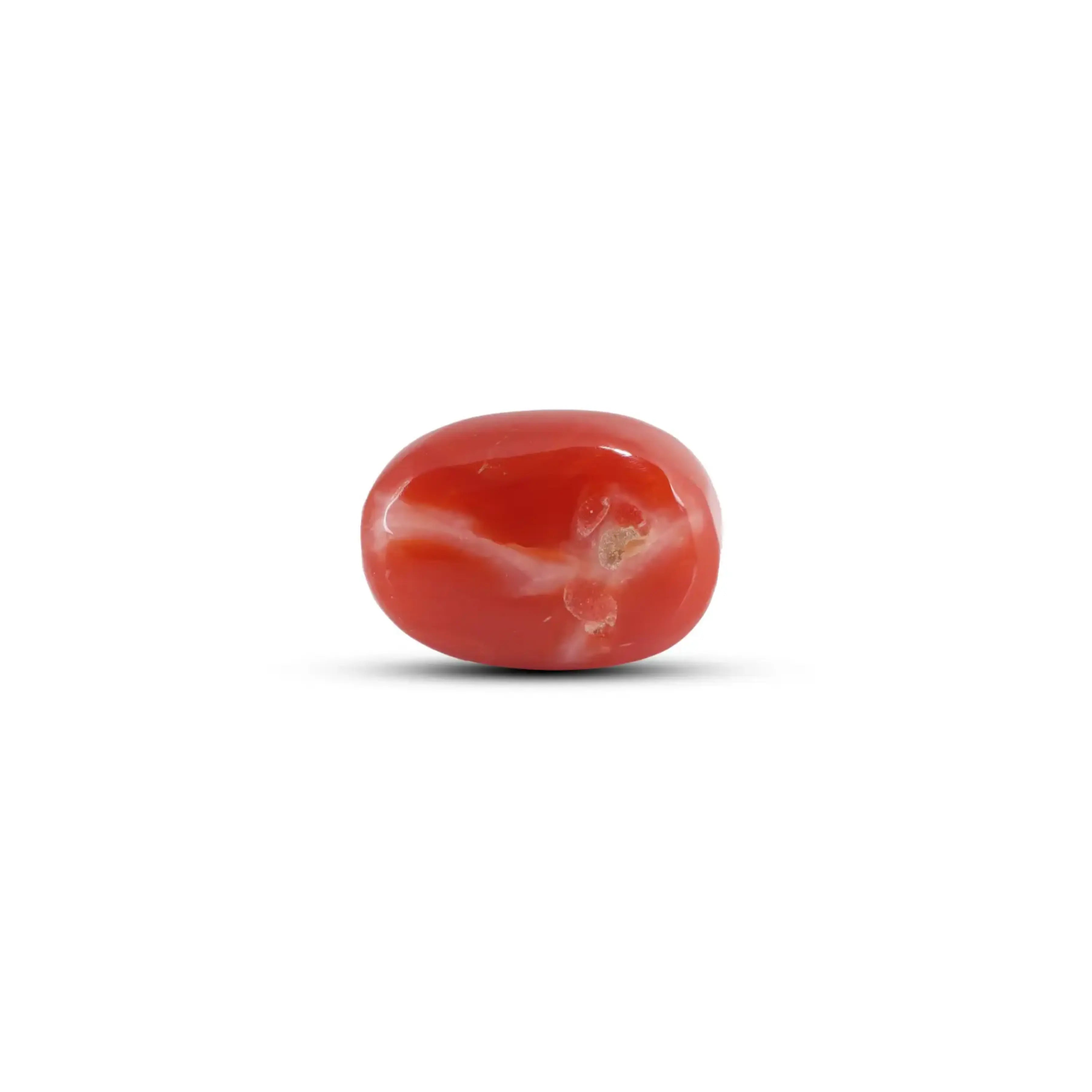 Pramogh Japanese Red Coral - 6 Carat - view 2