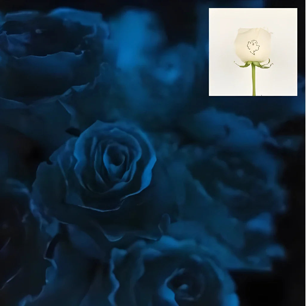 FiftyFlowers Glow in The Dark Ghost White Rose - view 5