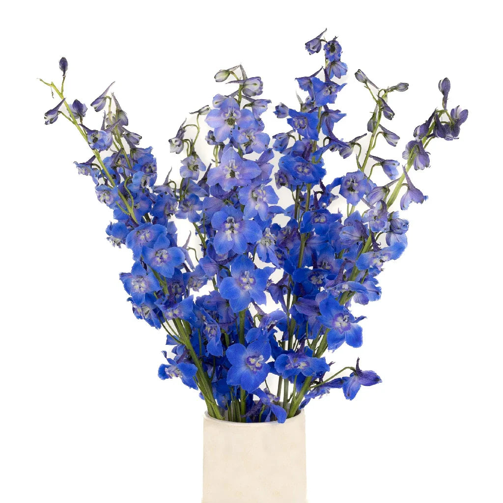 FiftyFlowers Royal Dark Blue Delphinium Flower