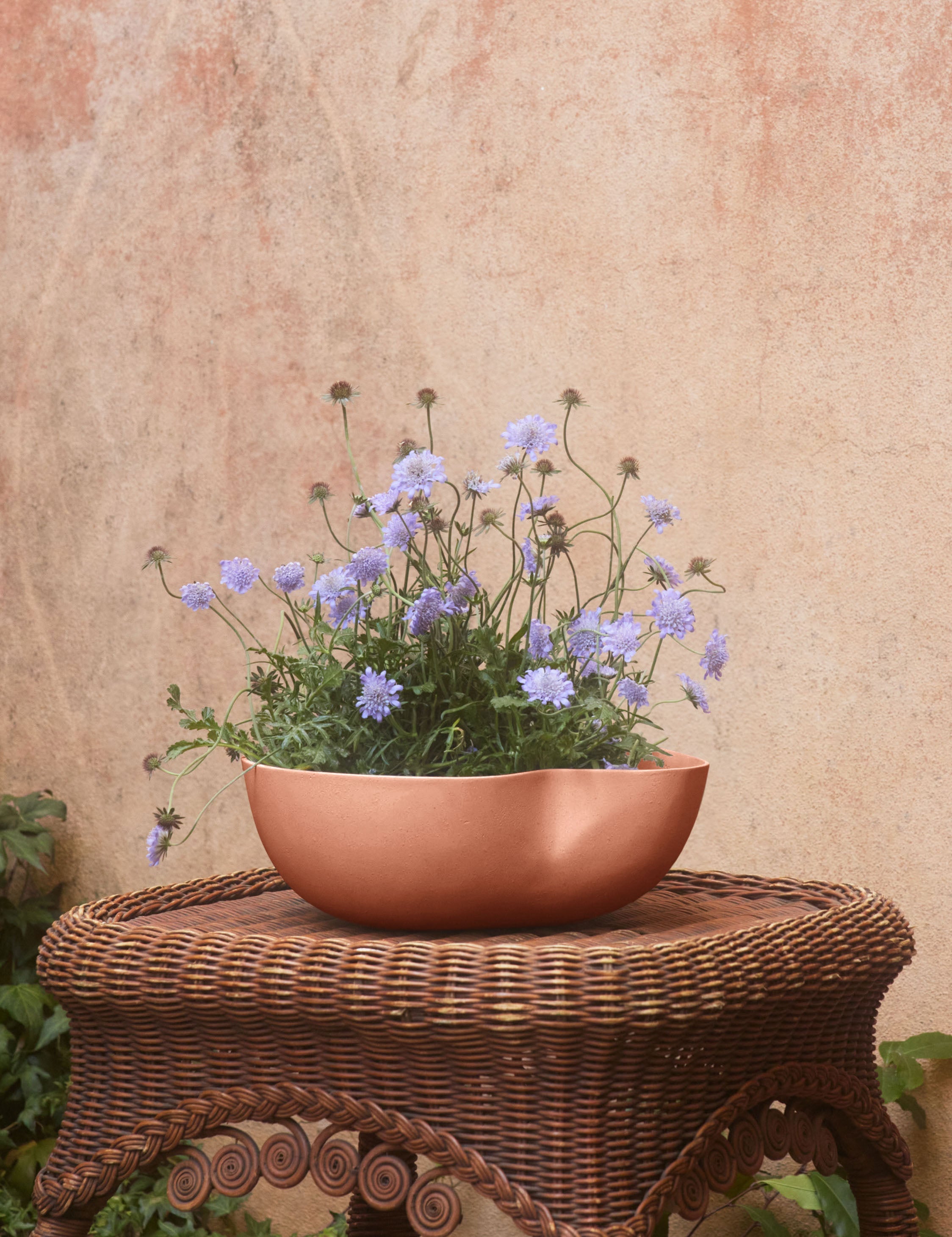 Lulu and Georgia Dempsy Low Planter by Sarah Sherman Samuel - view 2