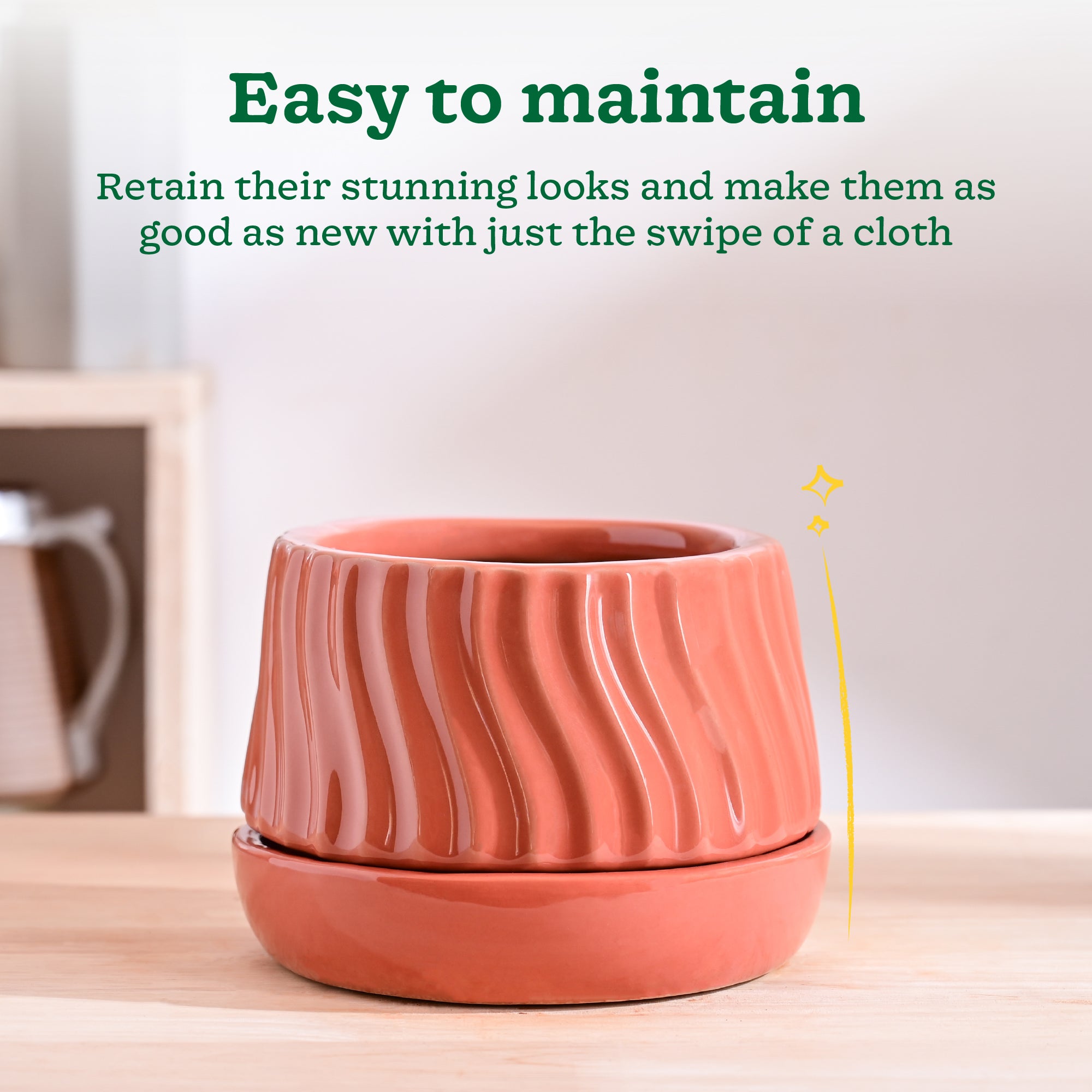Ugaoo Fallen Angel Ceramic Planter - view 28