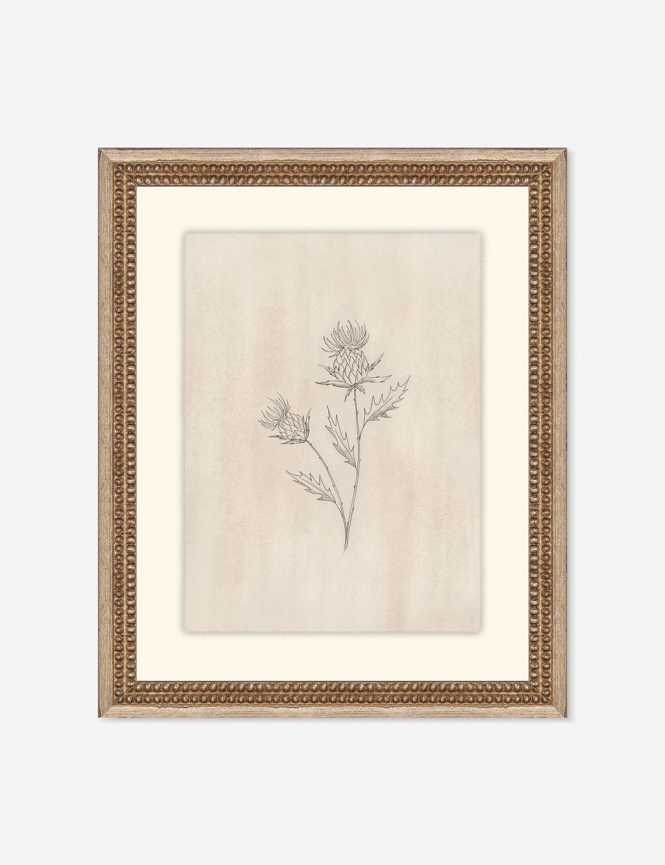 Lulu and Georgia Elegant Botanical V Wall Art by Makai Howell