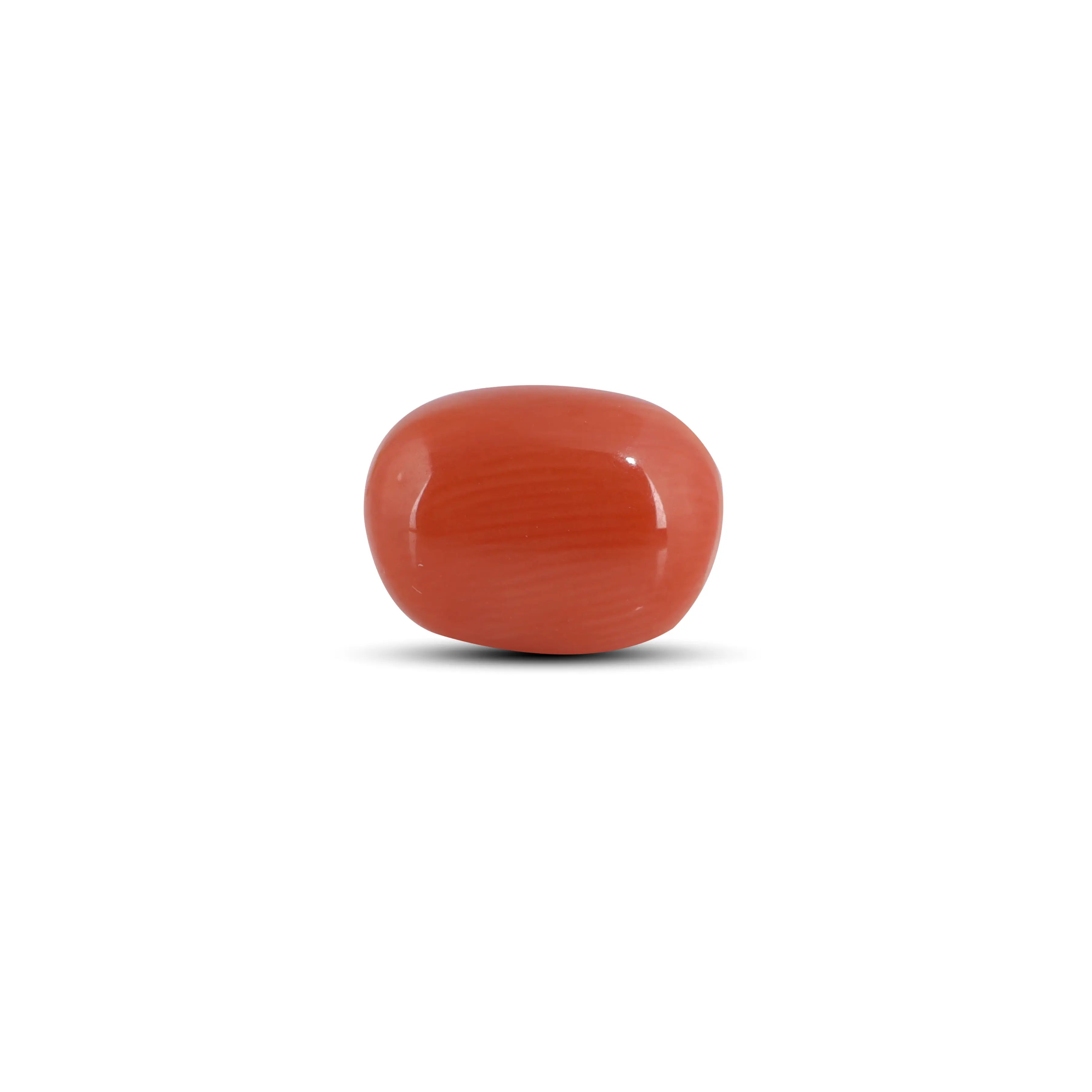 Pramogh Red Coral - 3.9 Carat