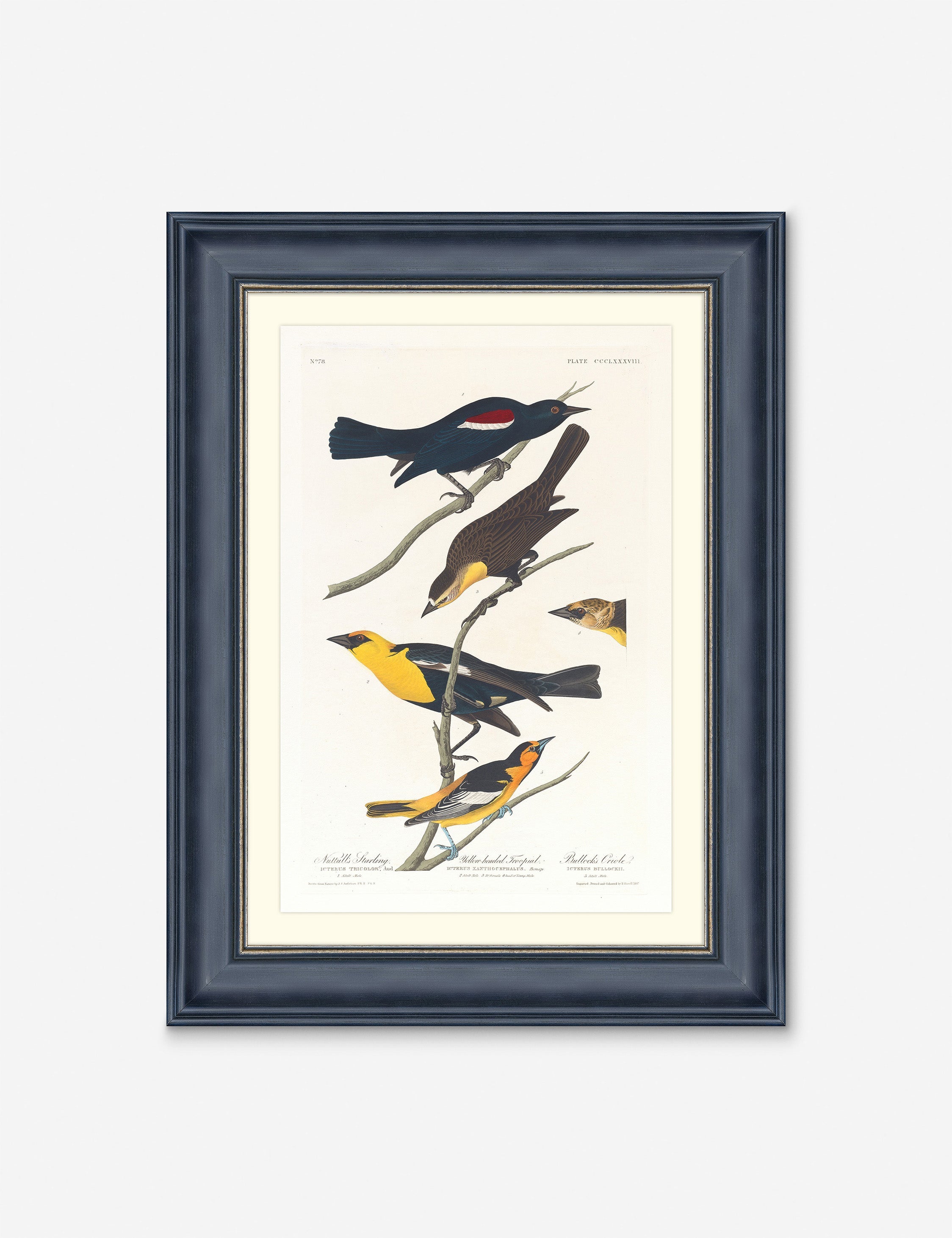 Lulu and Georgia Wings of the Wild IV Wall Art by Alex Zane