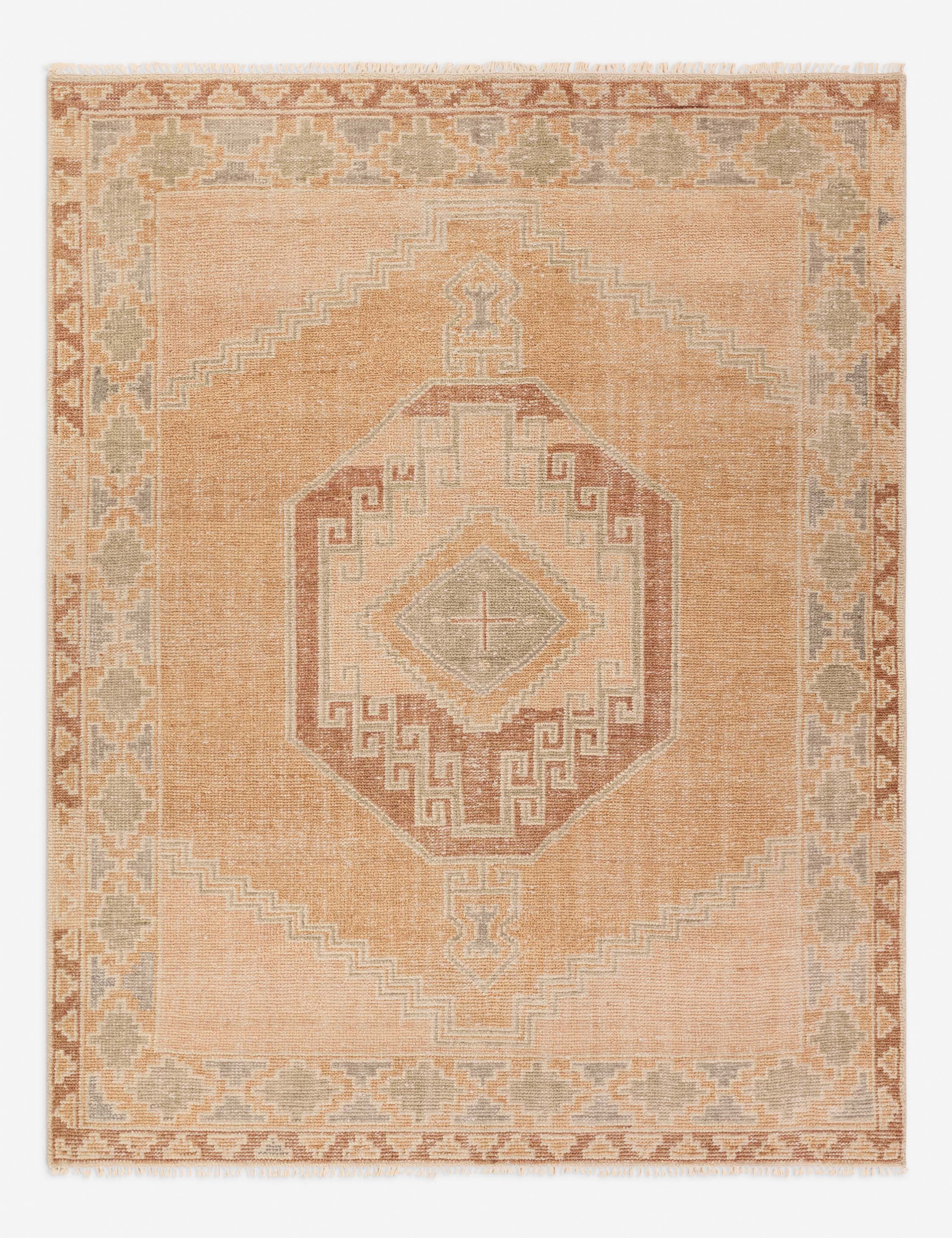 Lulu and Georgia Ambretta Hand-Knotted Wool Rug - view 2
